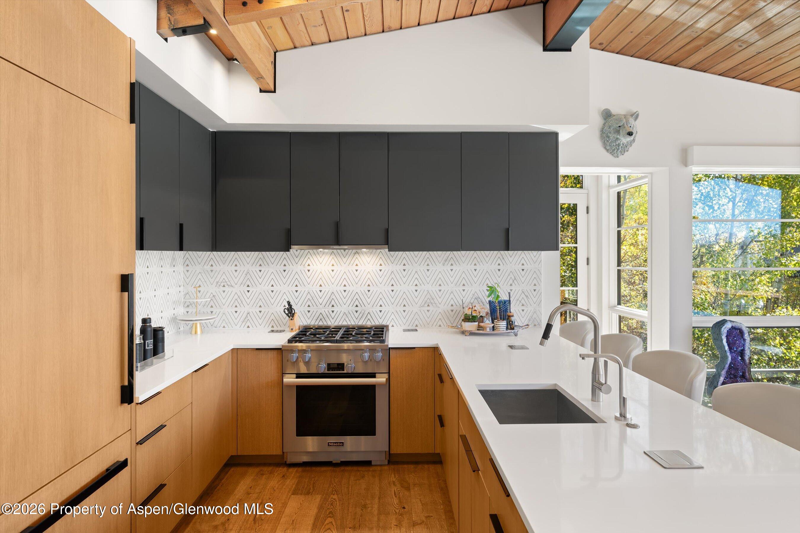 546 Mcskimming Road Aspen CO 81611