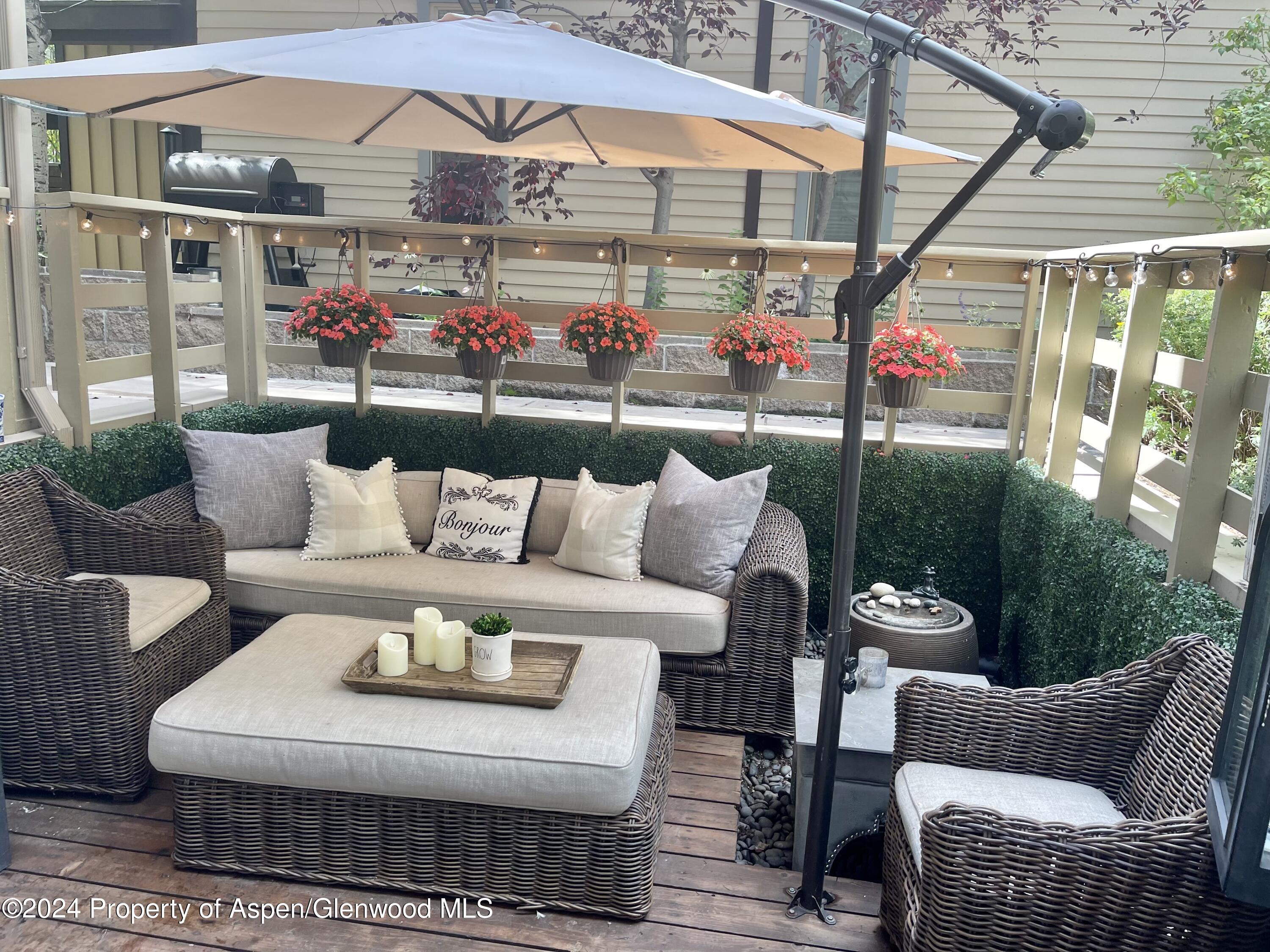 825 E Hopkins Avenue Aspen CO 81611