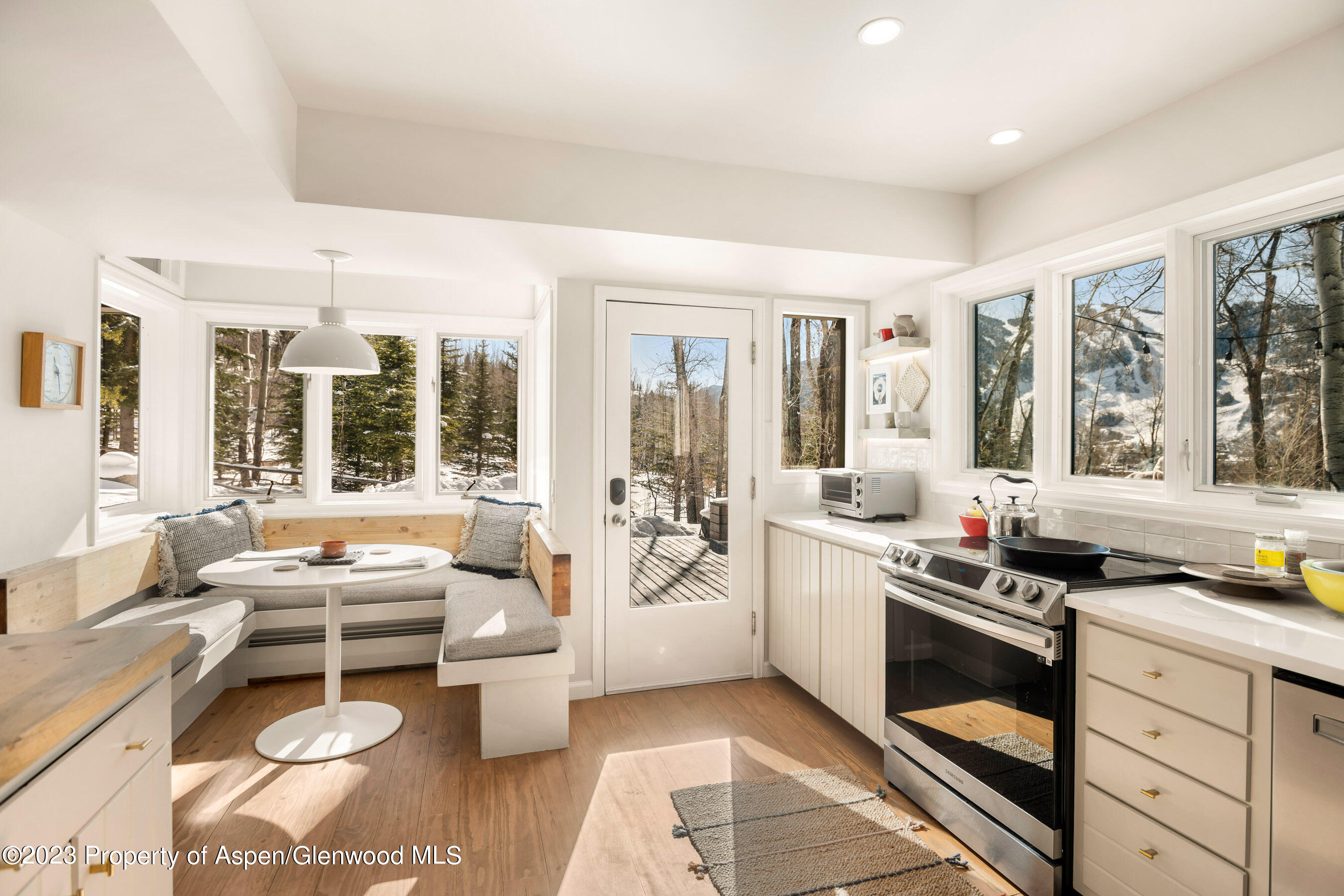 1036 Red Mountain Road Aspen CO 81611