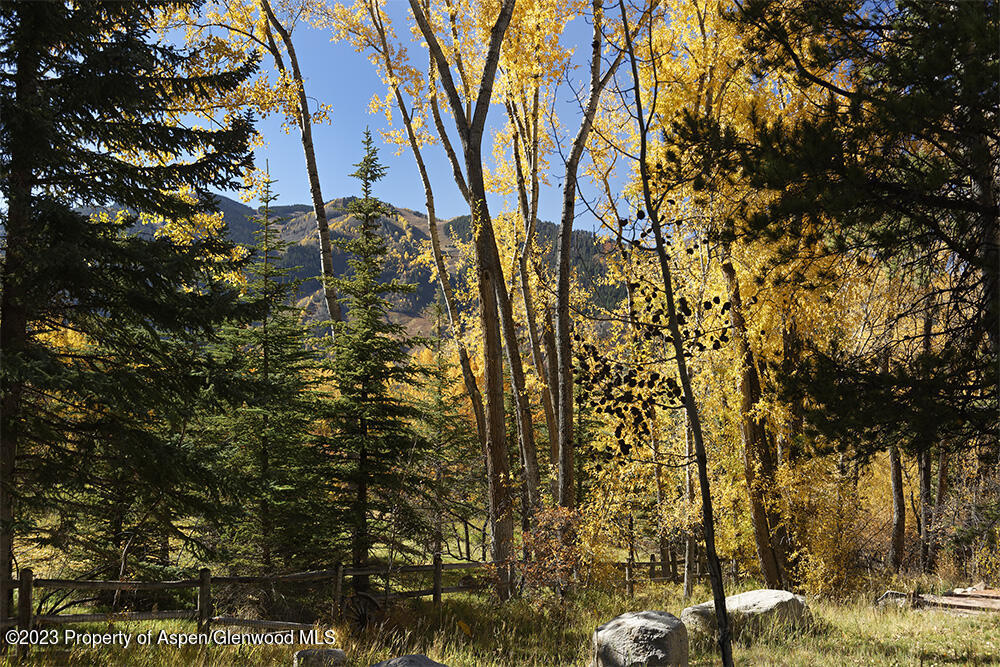 1036 Red Mountain Road Aspen CO 81611