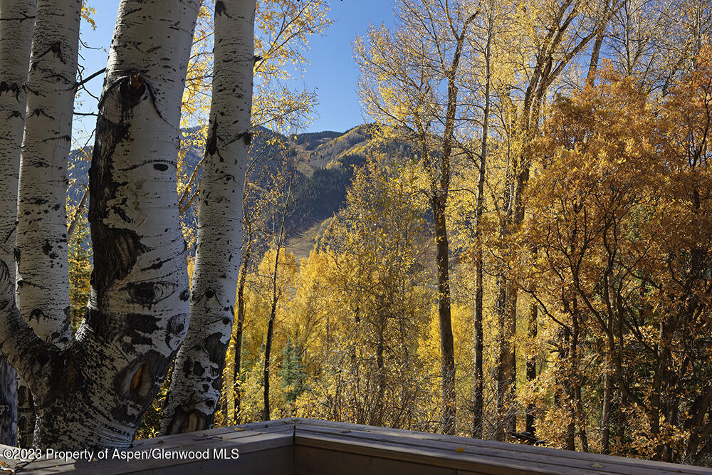 1036 Red Mountain Road Aspen CO 81611