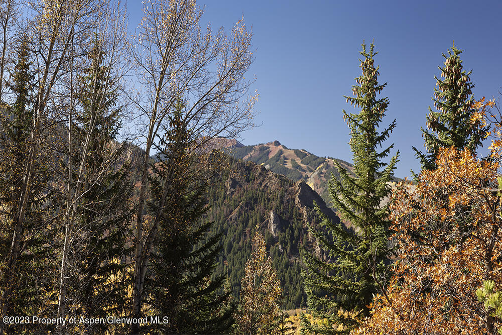 1036 Red Mountain Road Aspen CO 81611