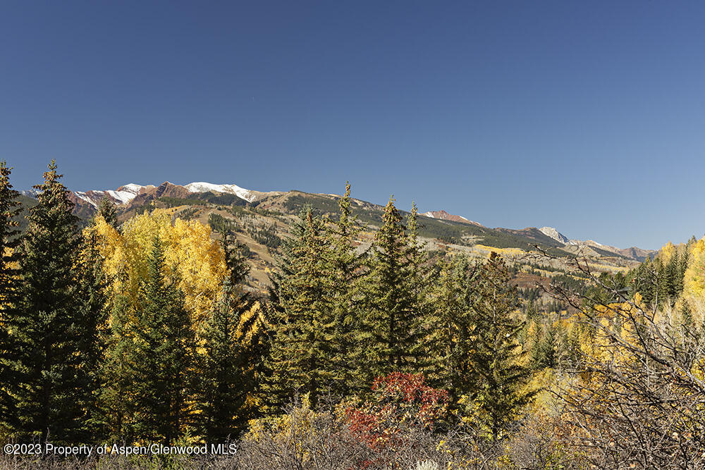 1036 Red Mountain Road Aspen CO 81611