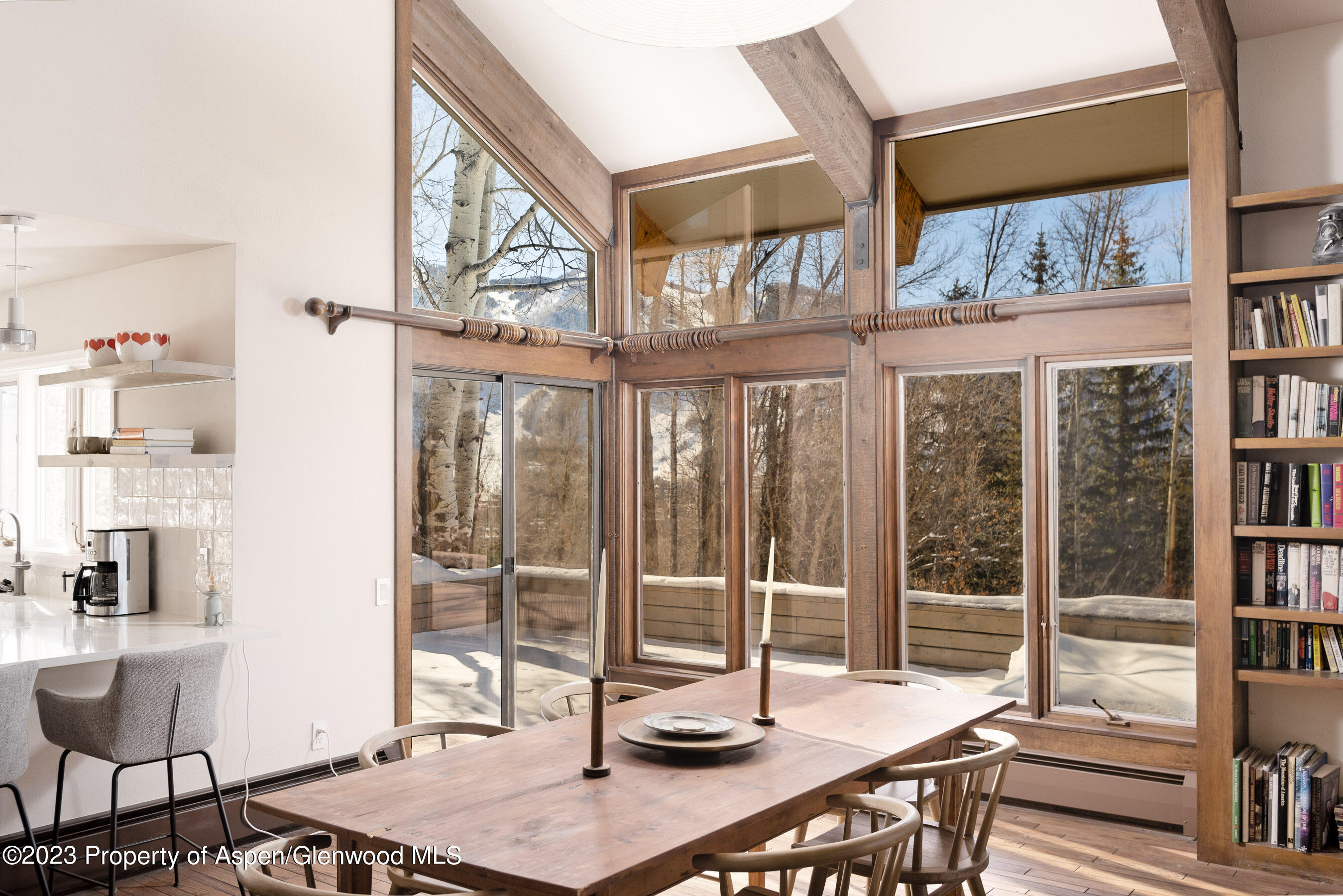 1036 Red Mountain Road Aspen CO 81611