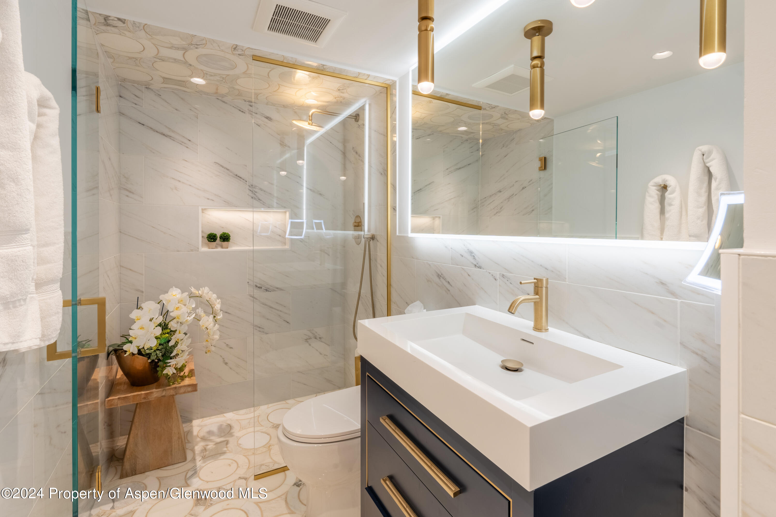 617 E Cooper Avenue Aspen CO 81611