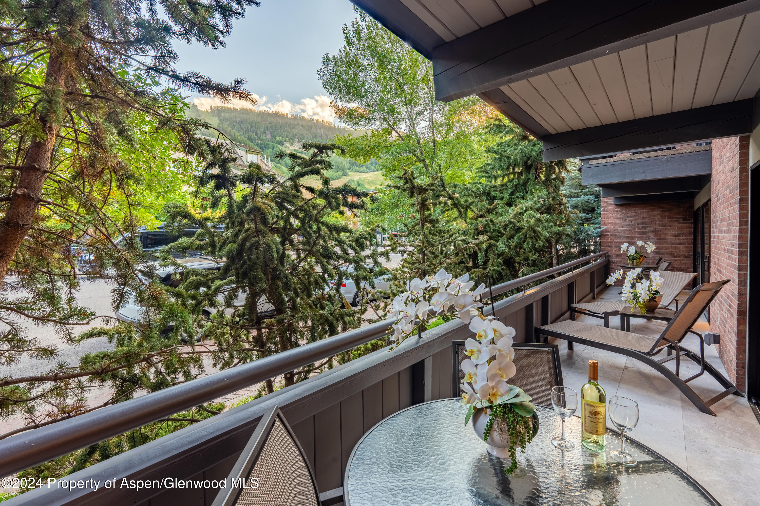 617 E Cooper Avenue Aspen CO 81611