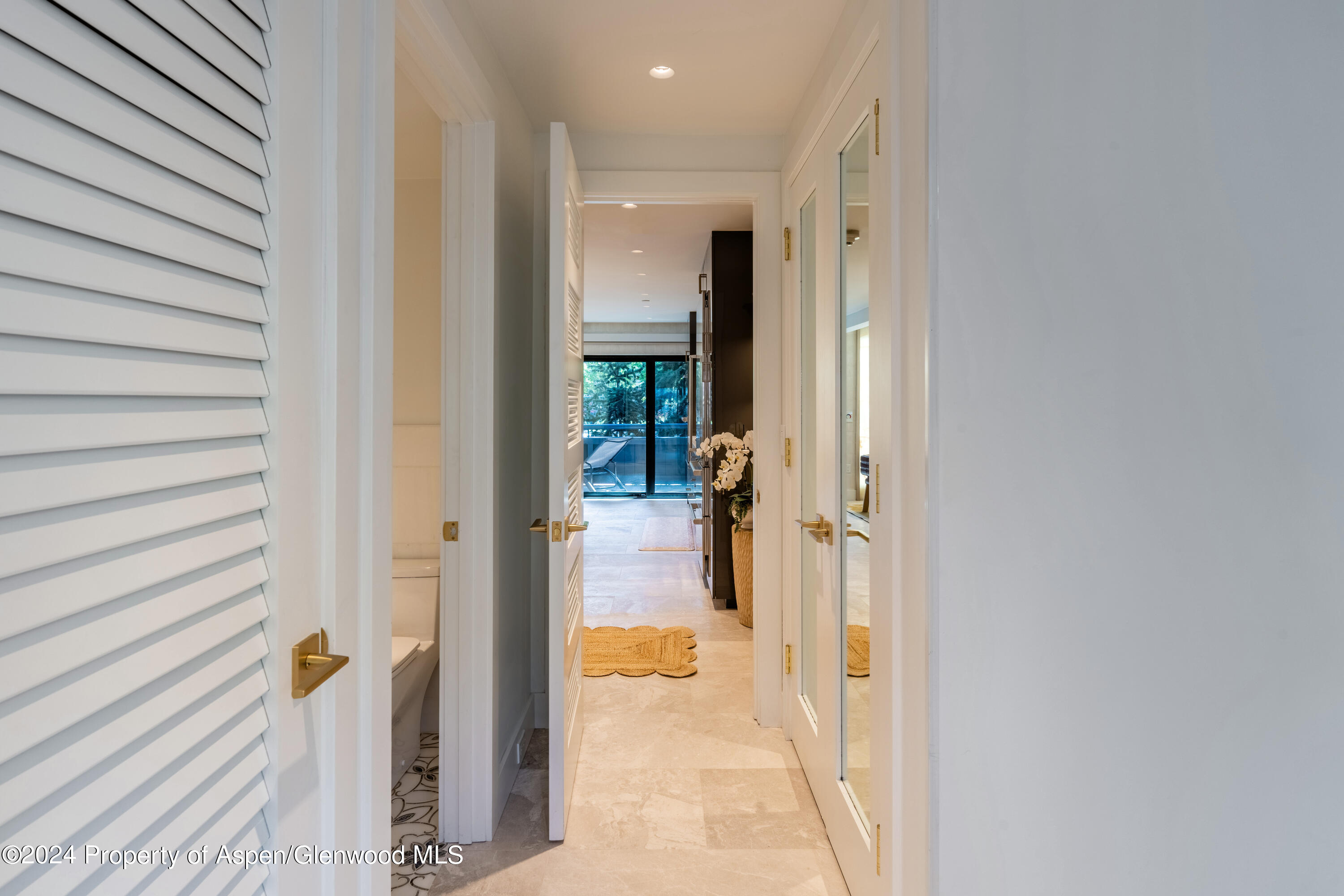 617 E Cooper Avenue Aspen CO 81611