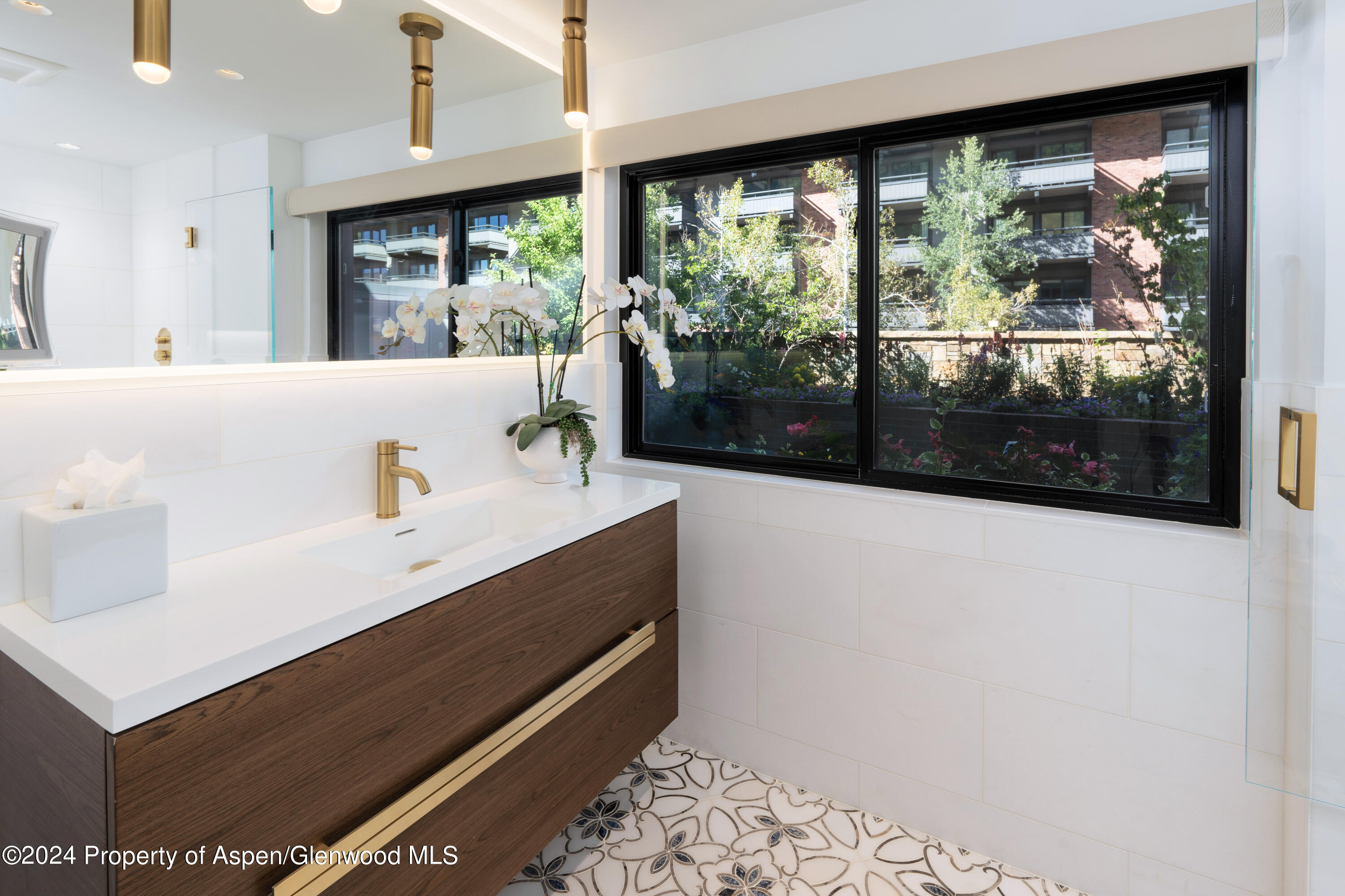 617 E Cooper Avenue Aspen CO 81611