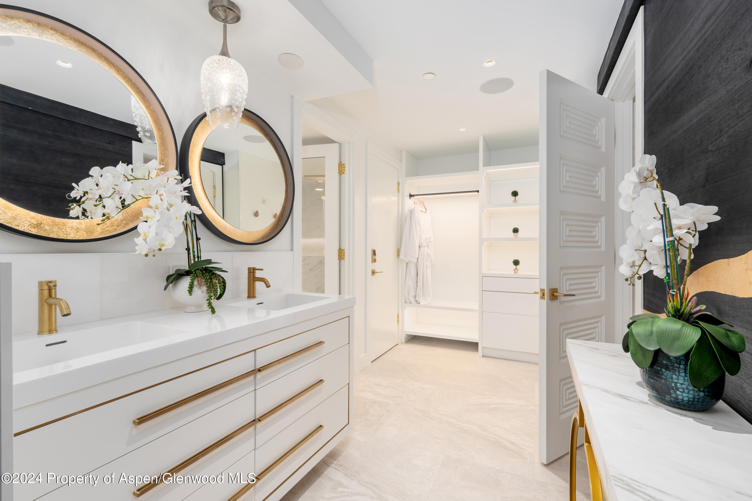 617 E Cooper Avenue Aspen CO 81611