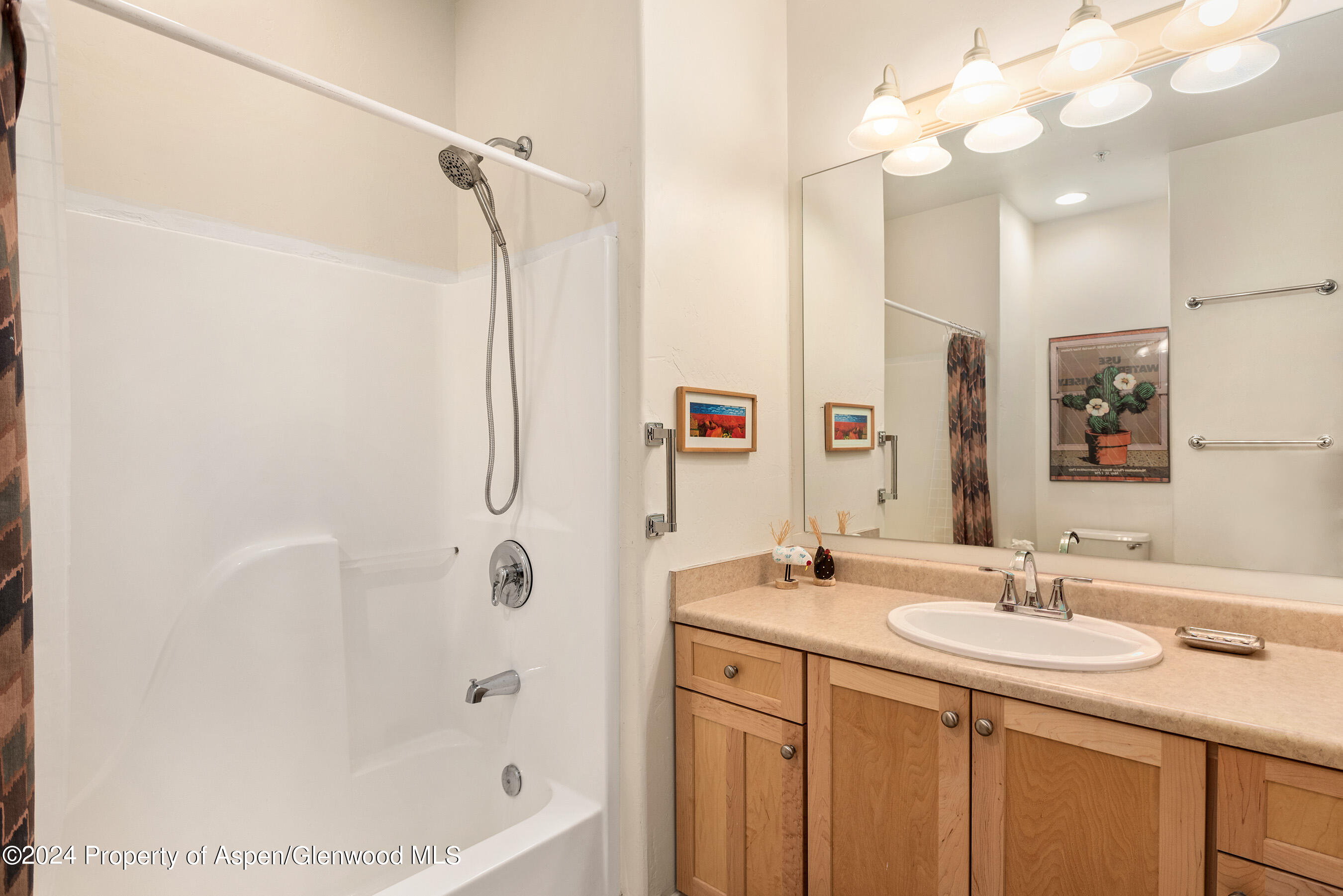 546 Evans Court Basalt CO 81621