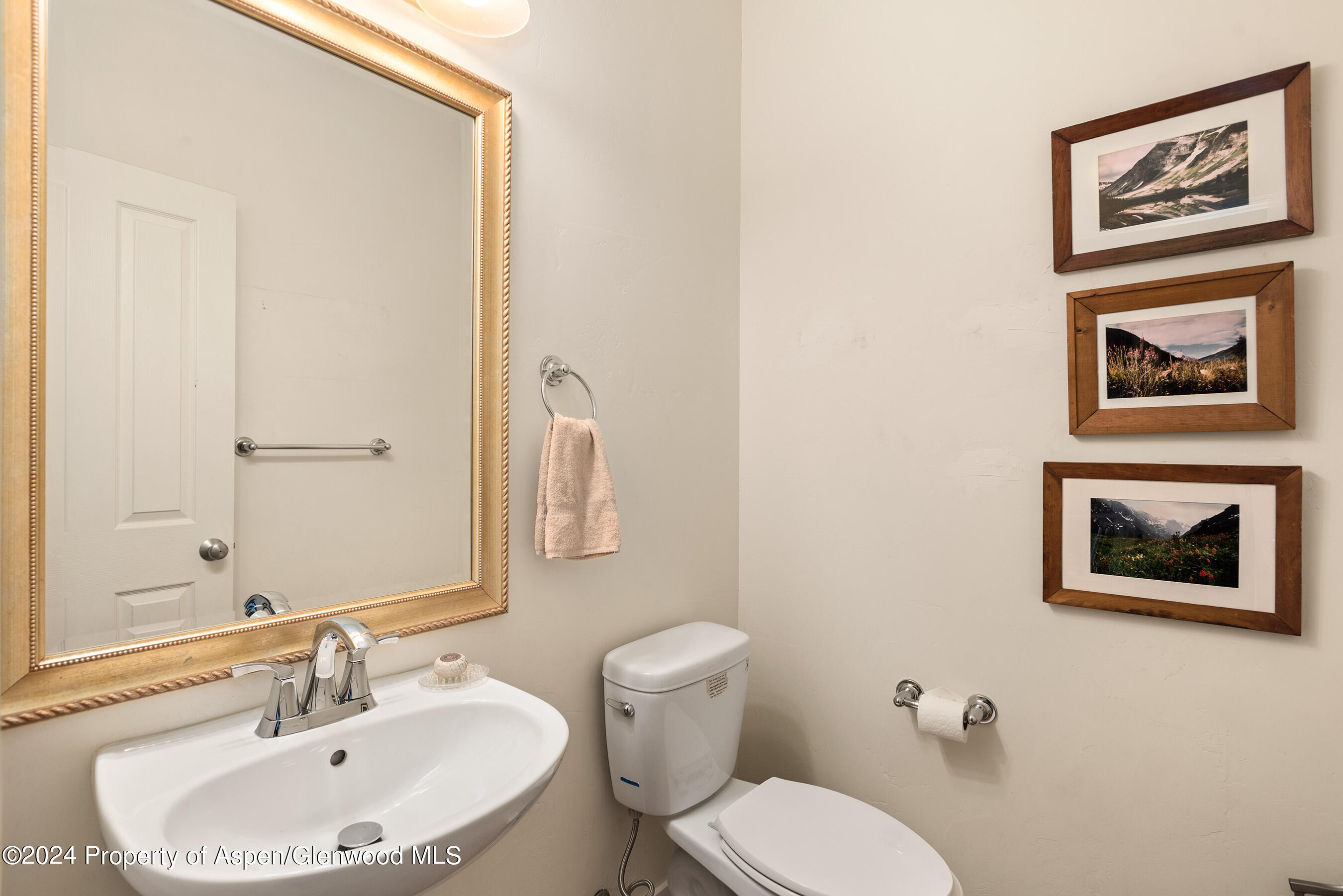 546 Evans Court Basalt CO 81621