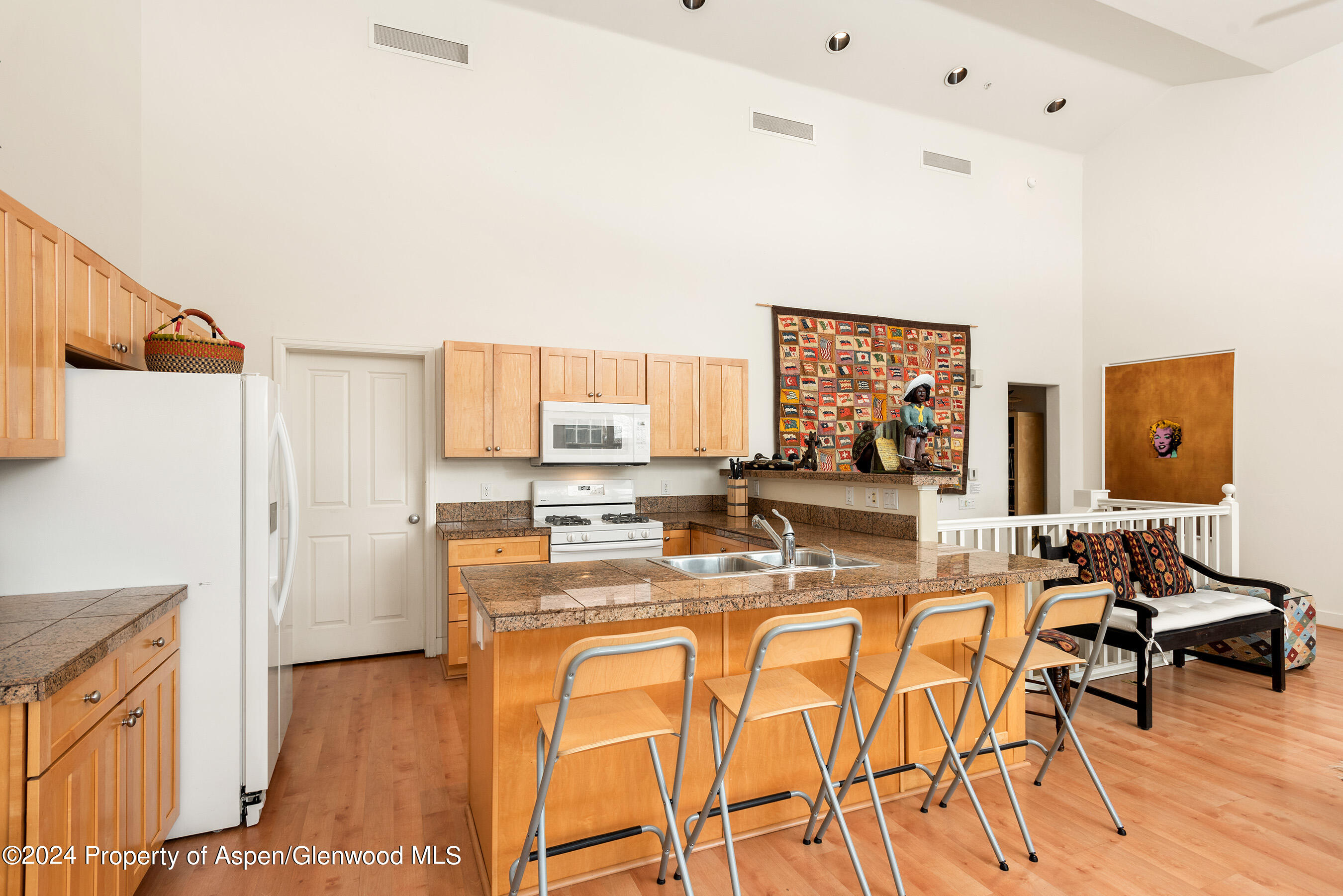 546 Evans Court Basalt CO 81621