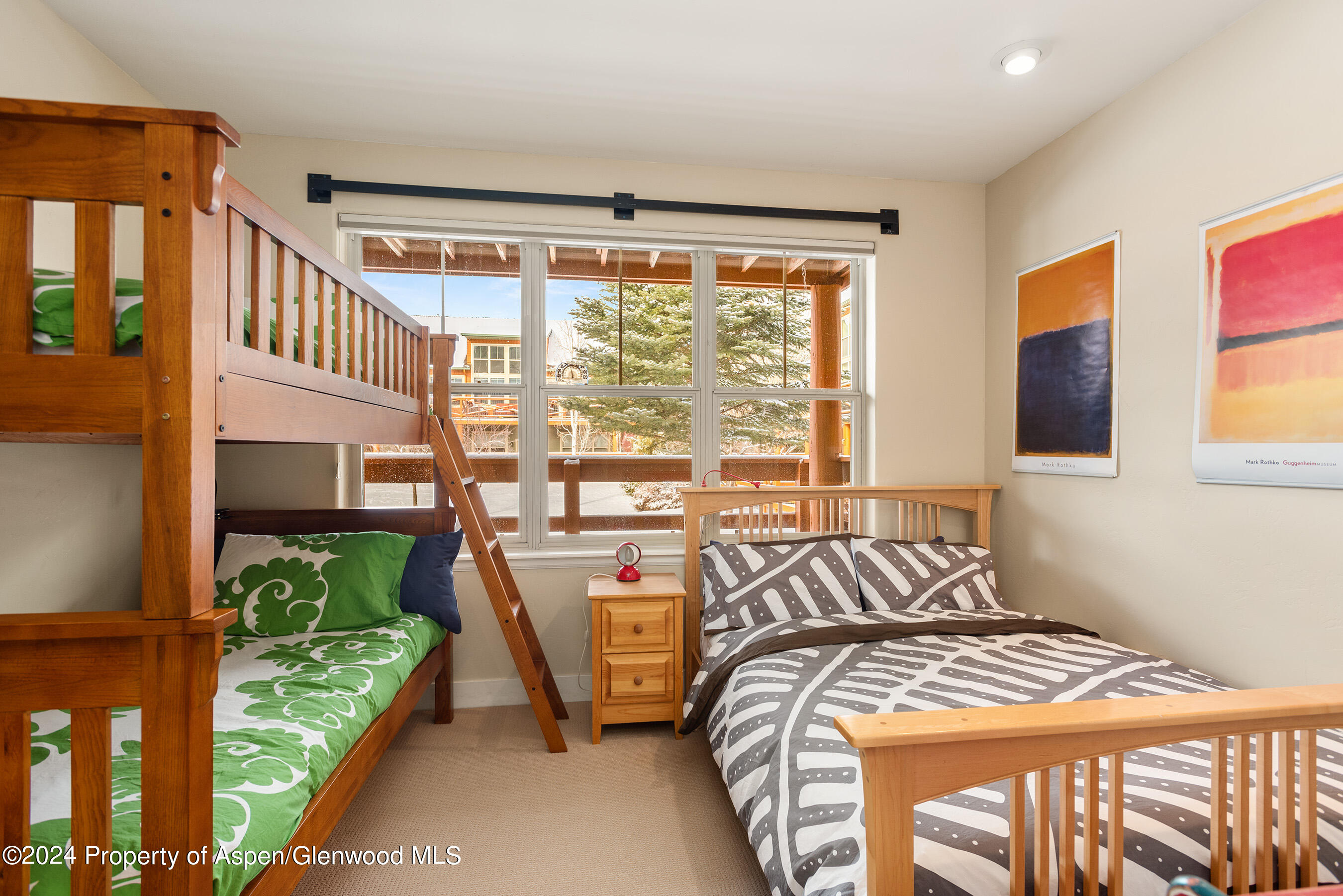 546 Evans Court Basalt CO 81621