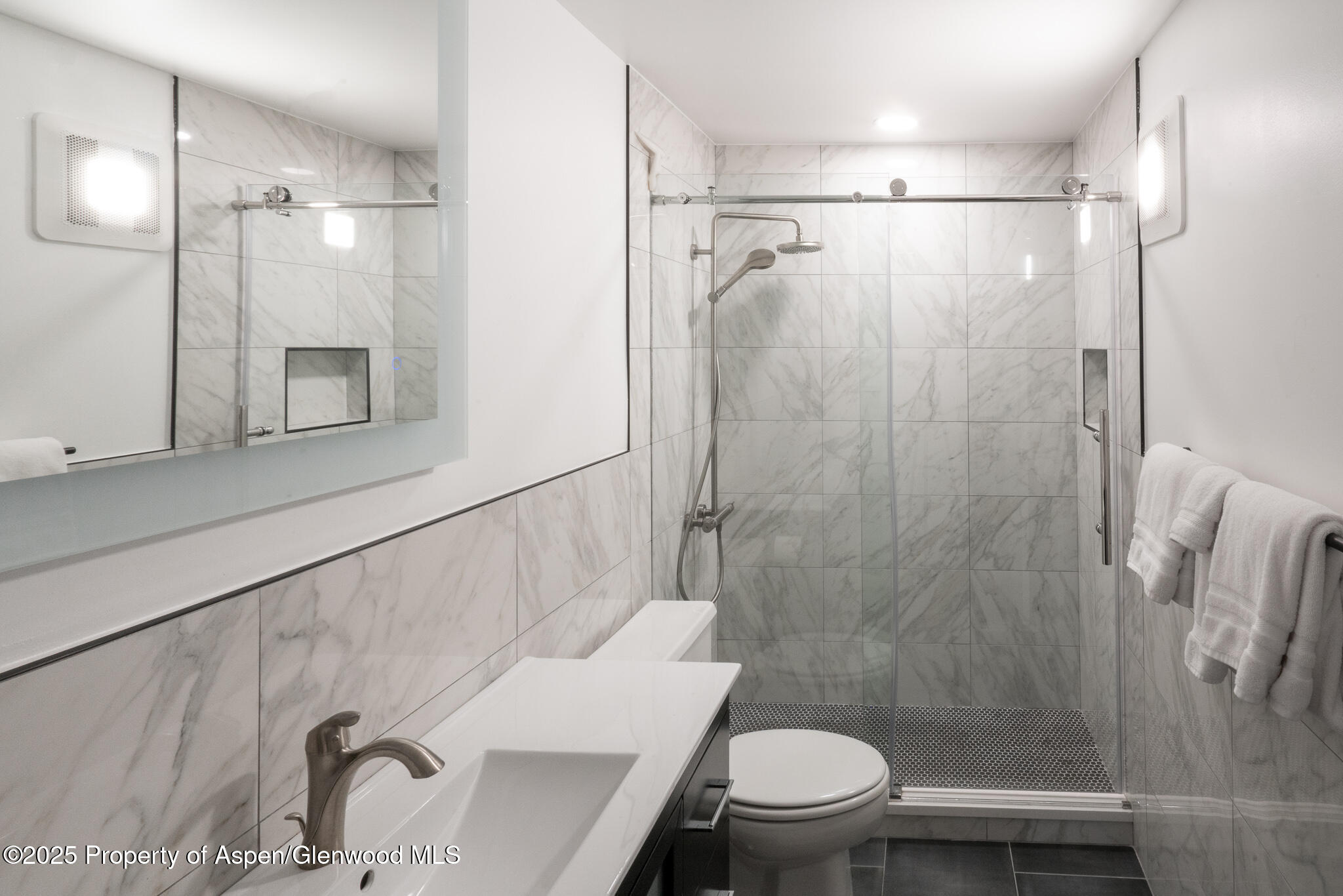 1316 Vine Street Aspen CO 81611