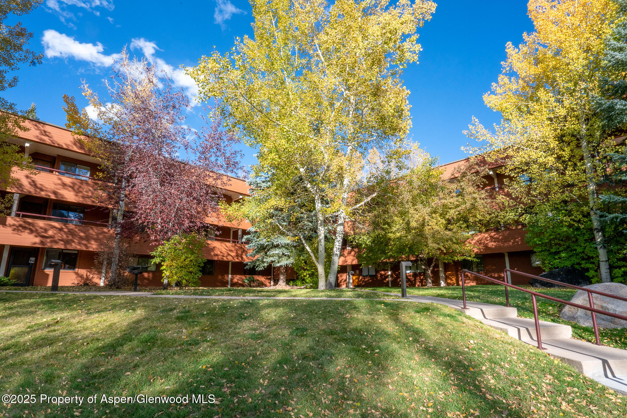 1316 Vine Street Aspen CO 81611