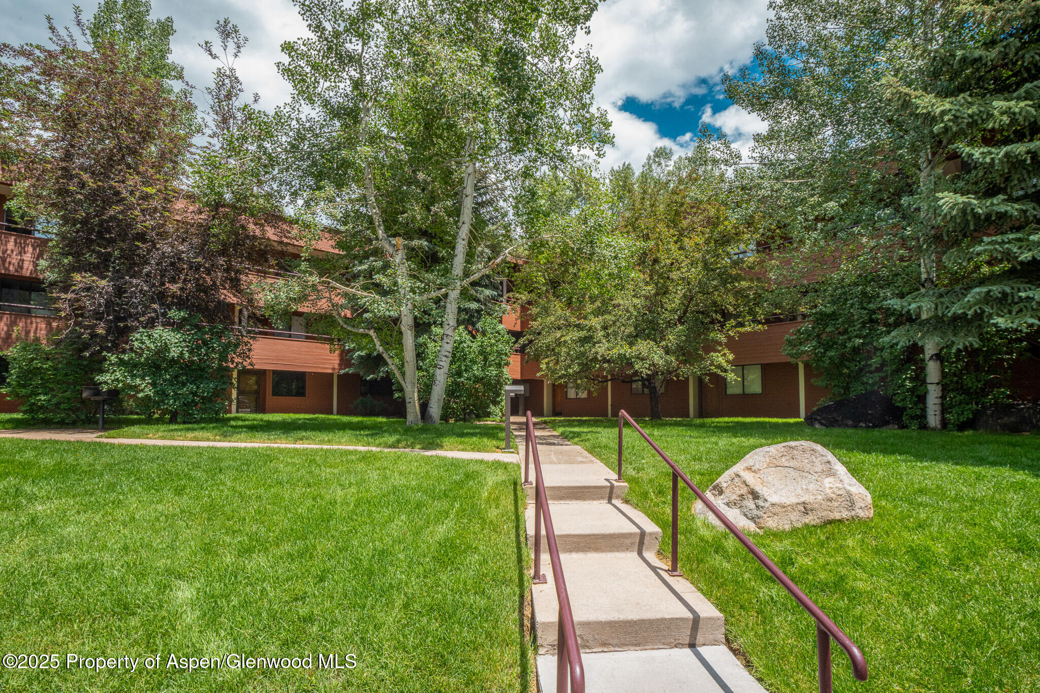 1316 Vine Street Aspen CO 81611