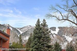 1316 Vine Street Aspen CO 81611