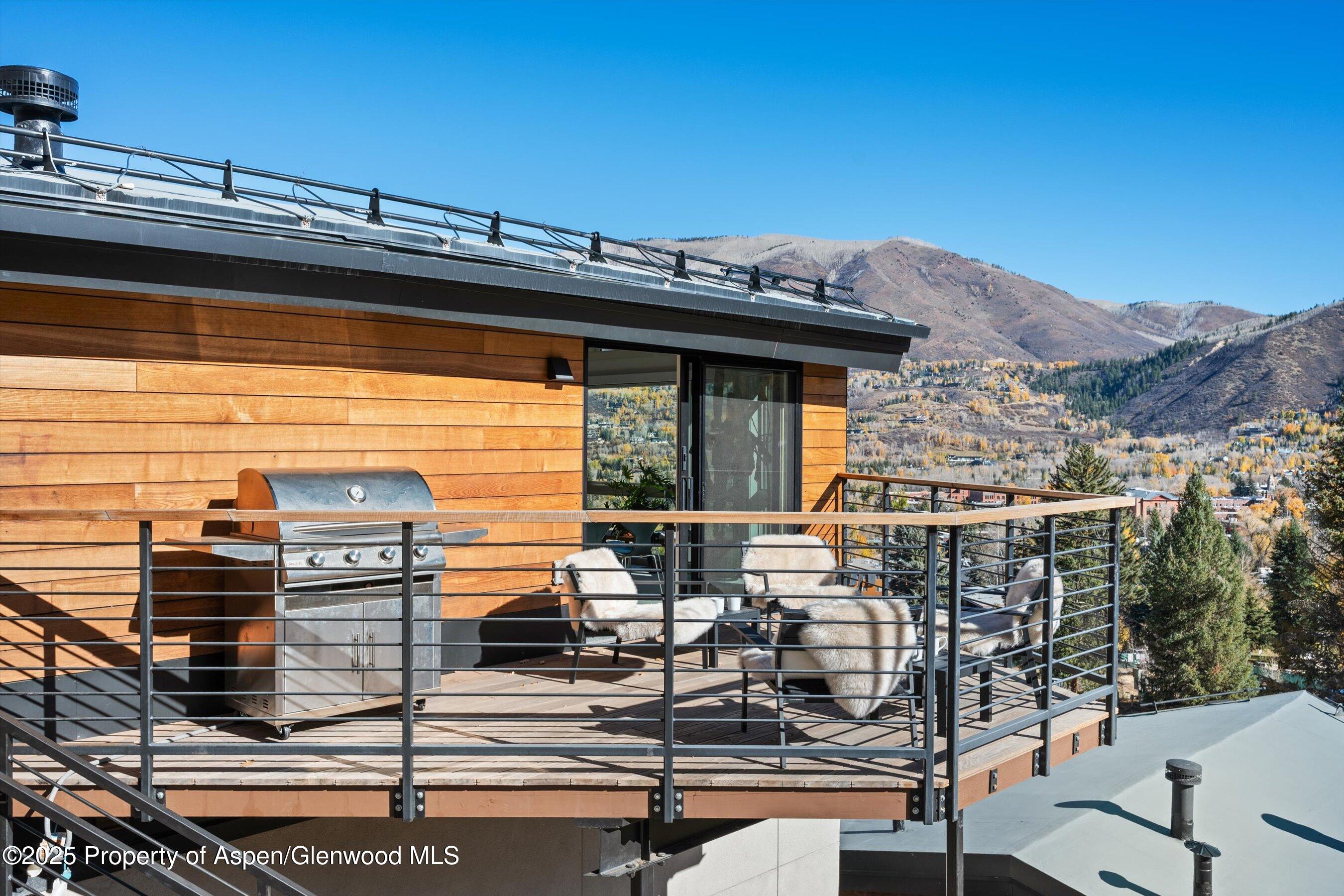 809 S Aspen Street Aspen CO 81611