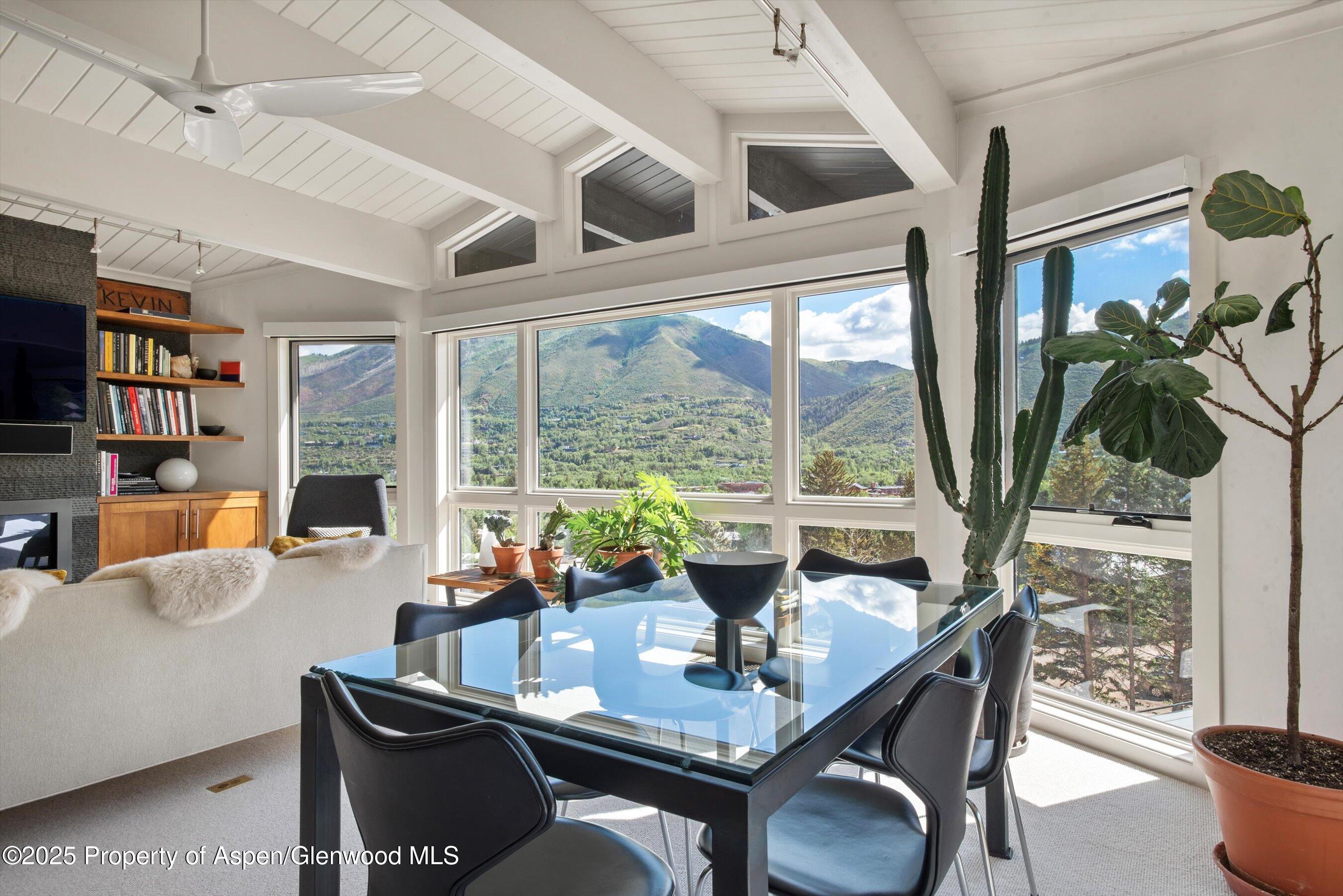 809 S Aspen Street Aspen CO 81611