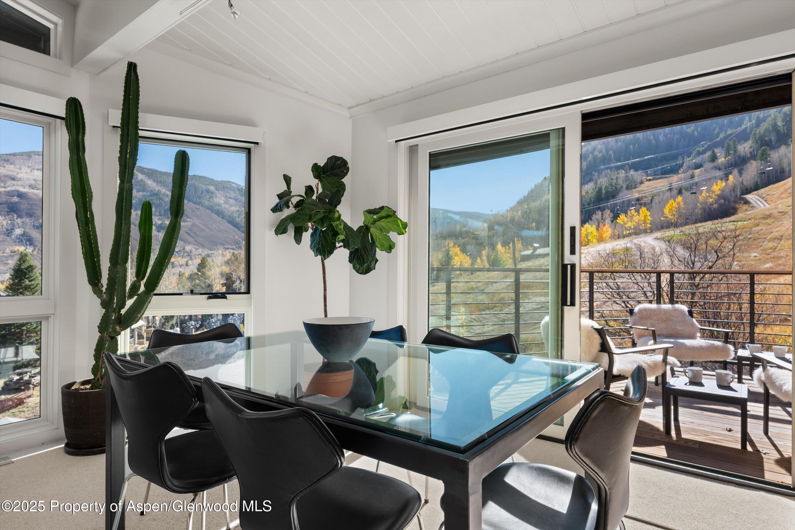 809 S Aspen Street Aspen CO 81611