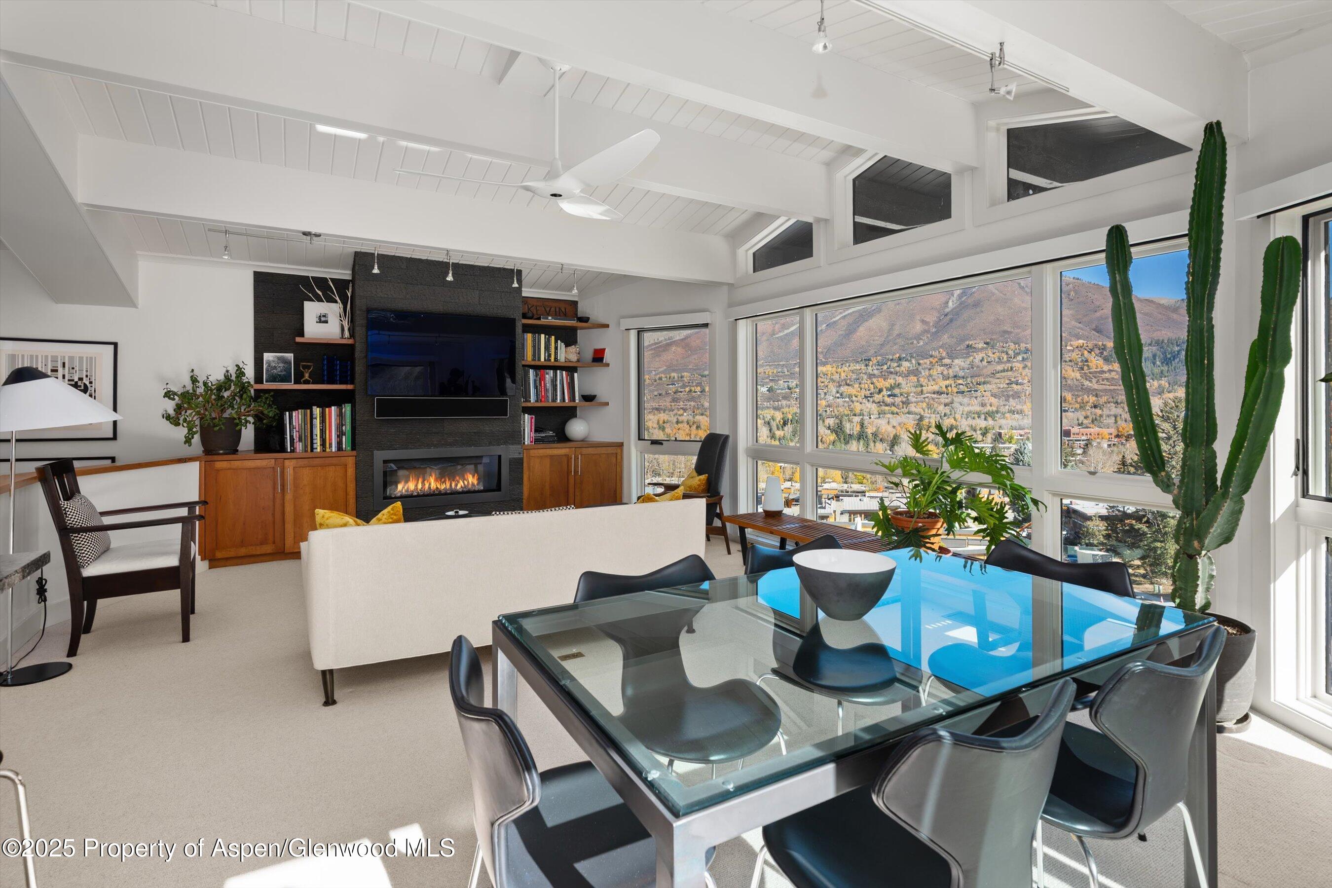 809 S Aspen Street Aspen CO 81611