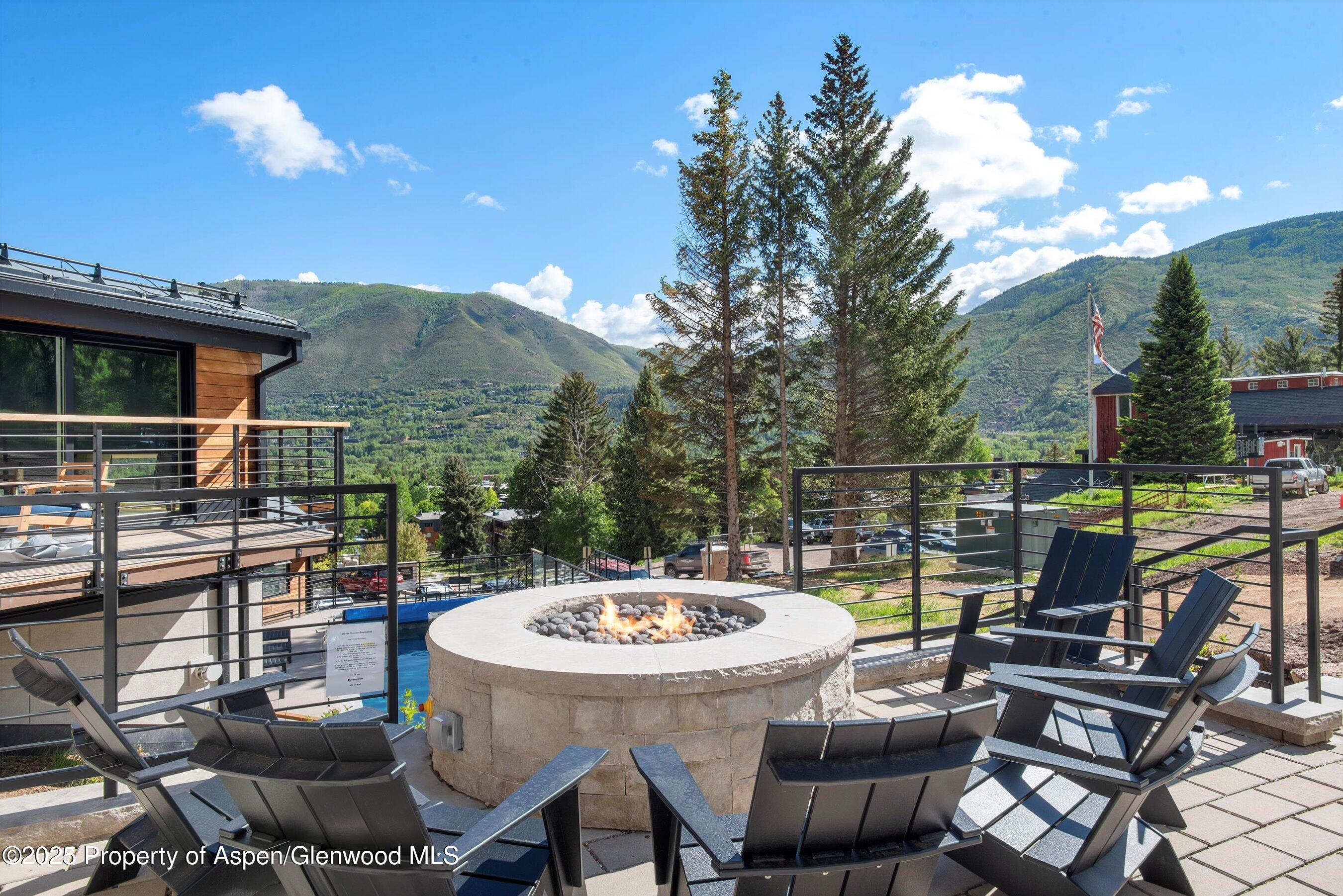 809 S Aspen Street Aspen CO 81611