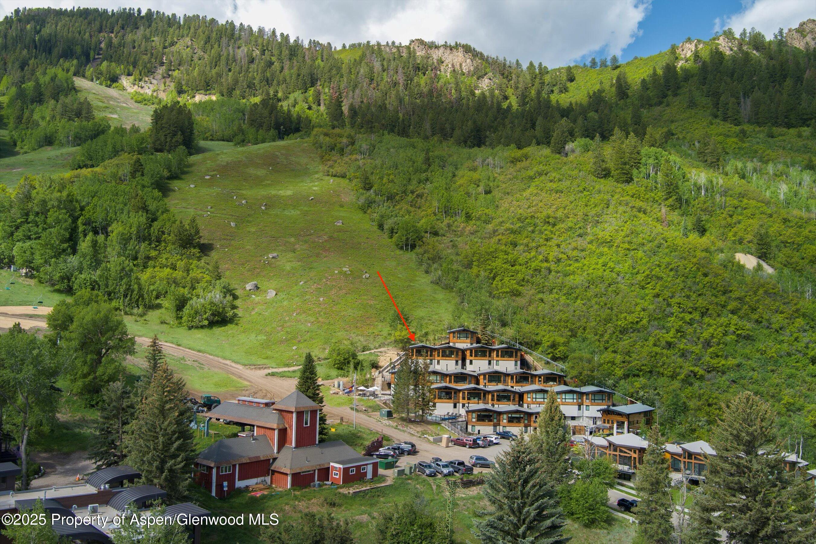 809 S Aspen Street Aspen CO 81611