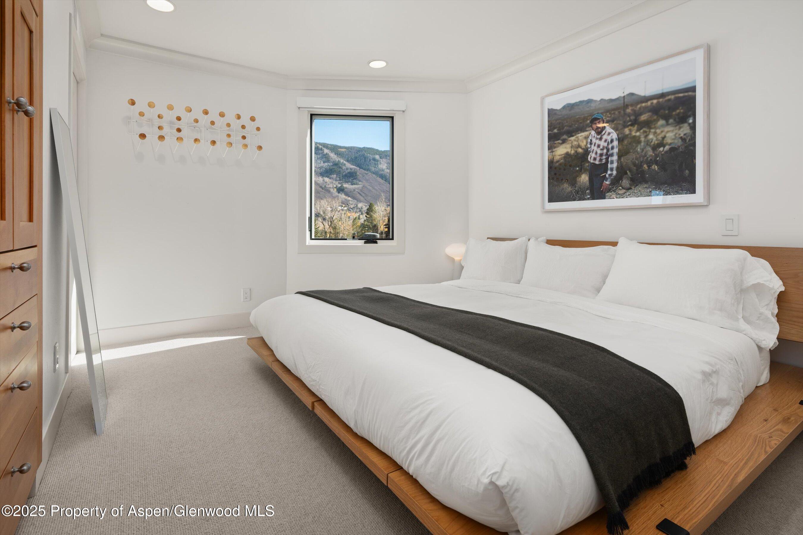 809 S Aspen Street Aspen CO 81611