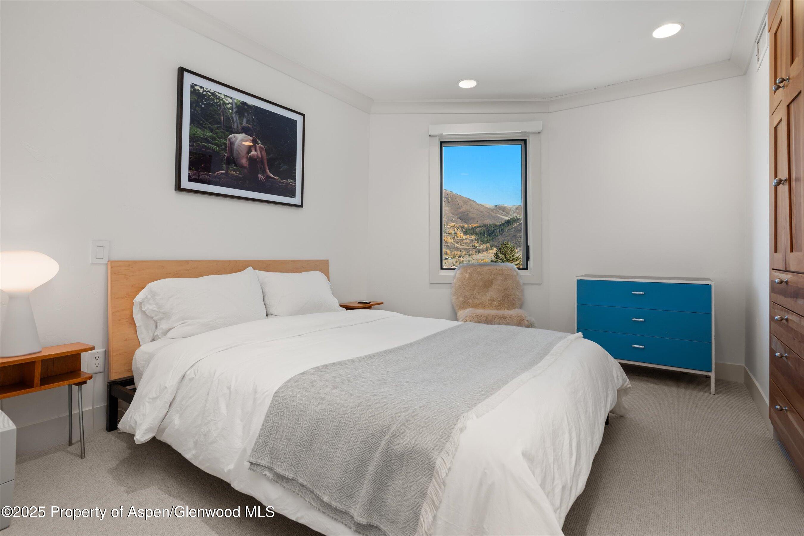 809 S Aspen Street Aspen CO 81611