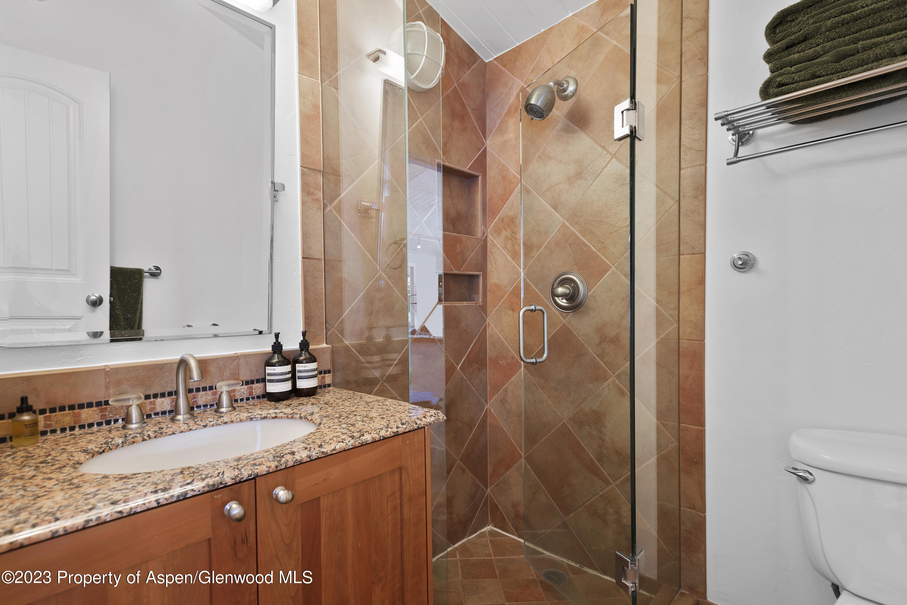 809 S Aspen Street Aspen CO 81611