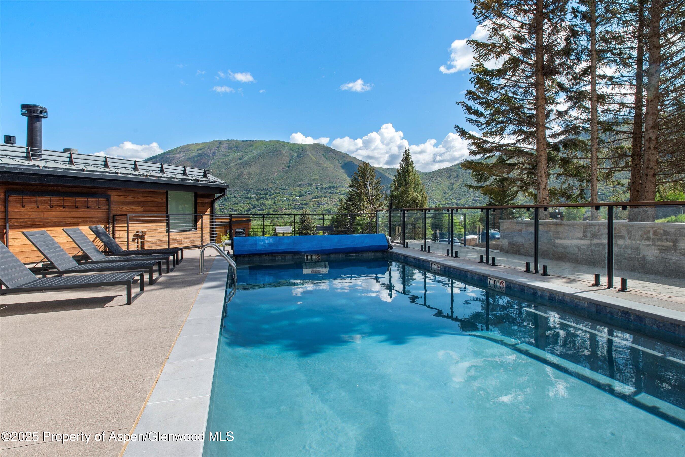 809 S Aspen Street Aspen CO 81611