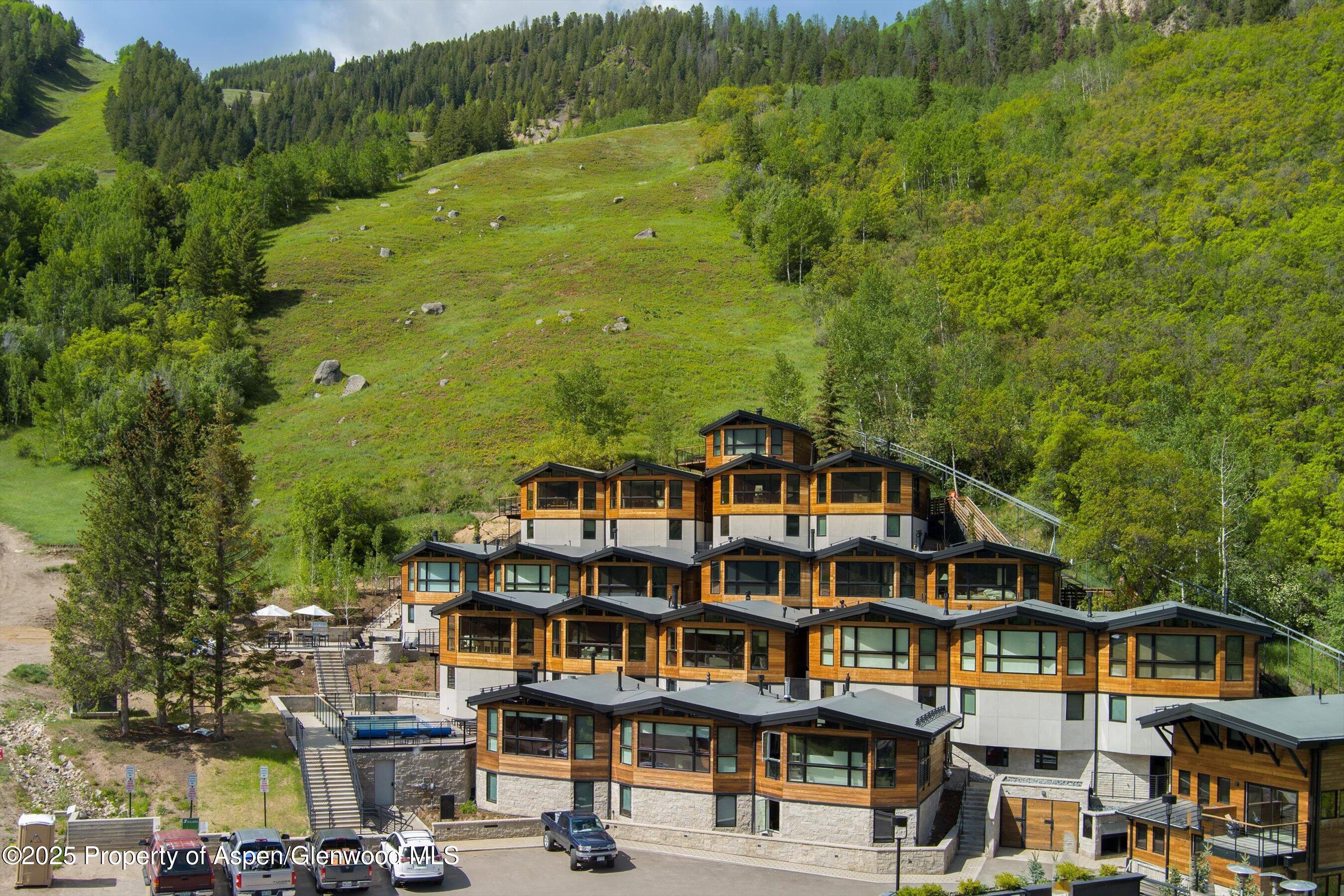 809 S Aspen Street Aspen CO 81611