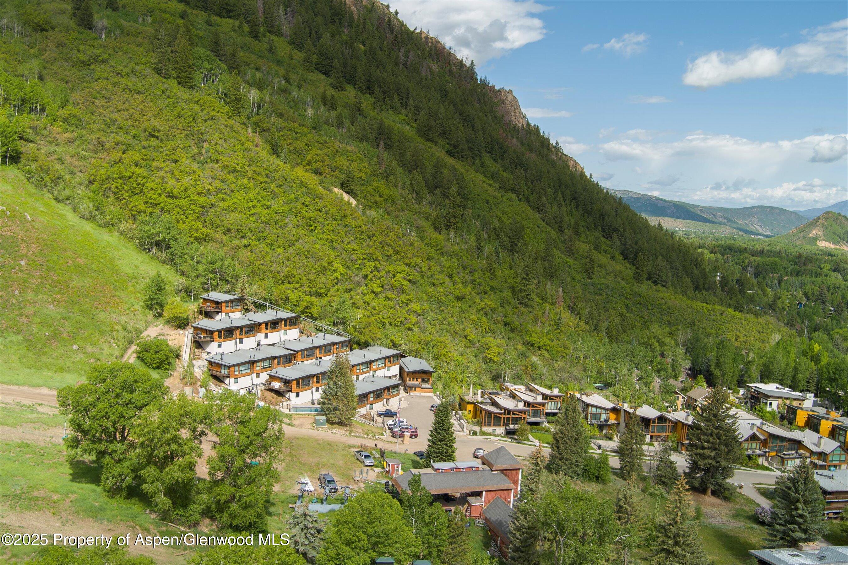 809 S Aspen Street Aspen CO 81611