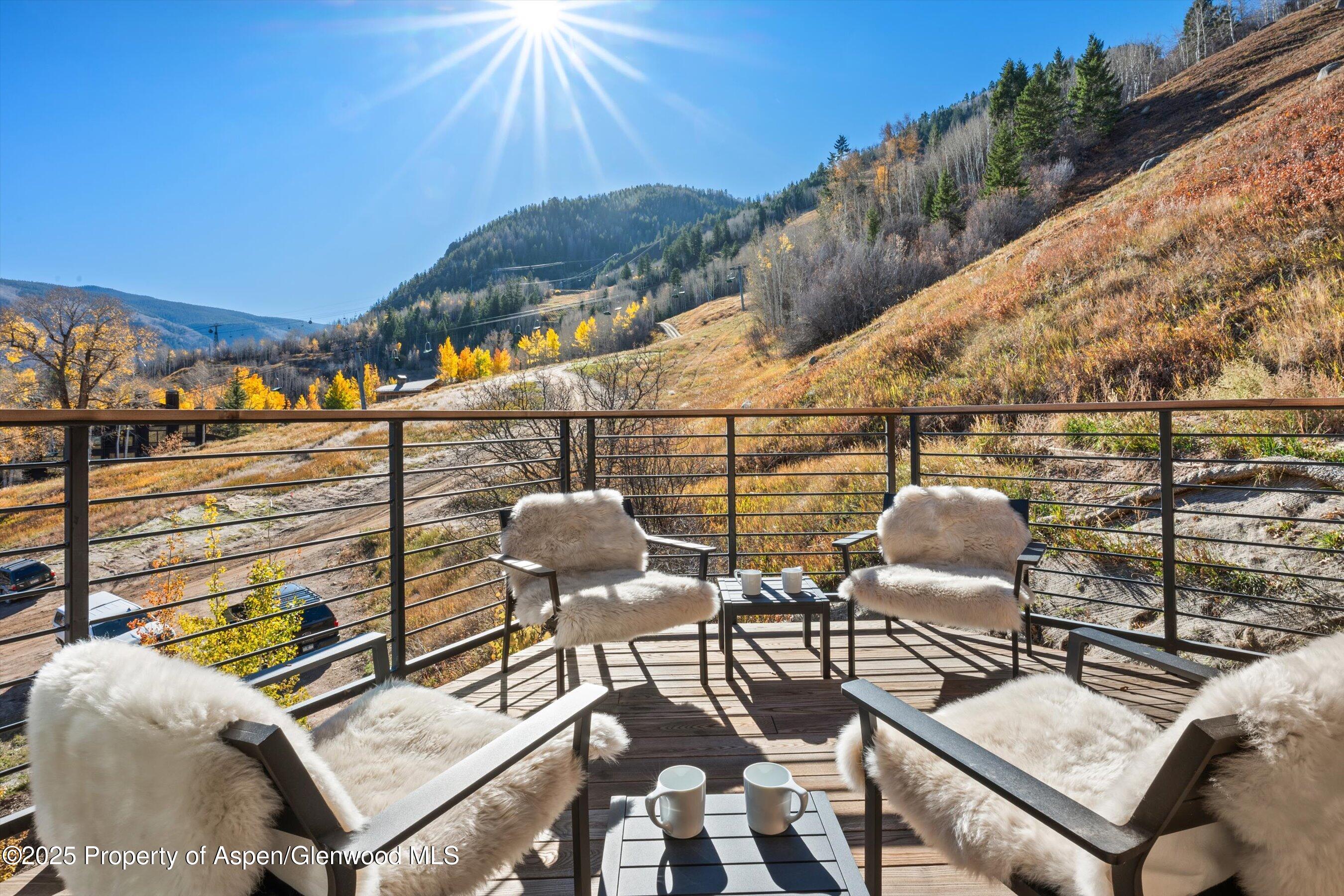 809 S Aspen Street Aspen CO 81611