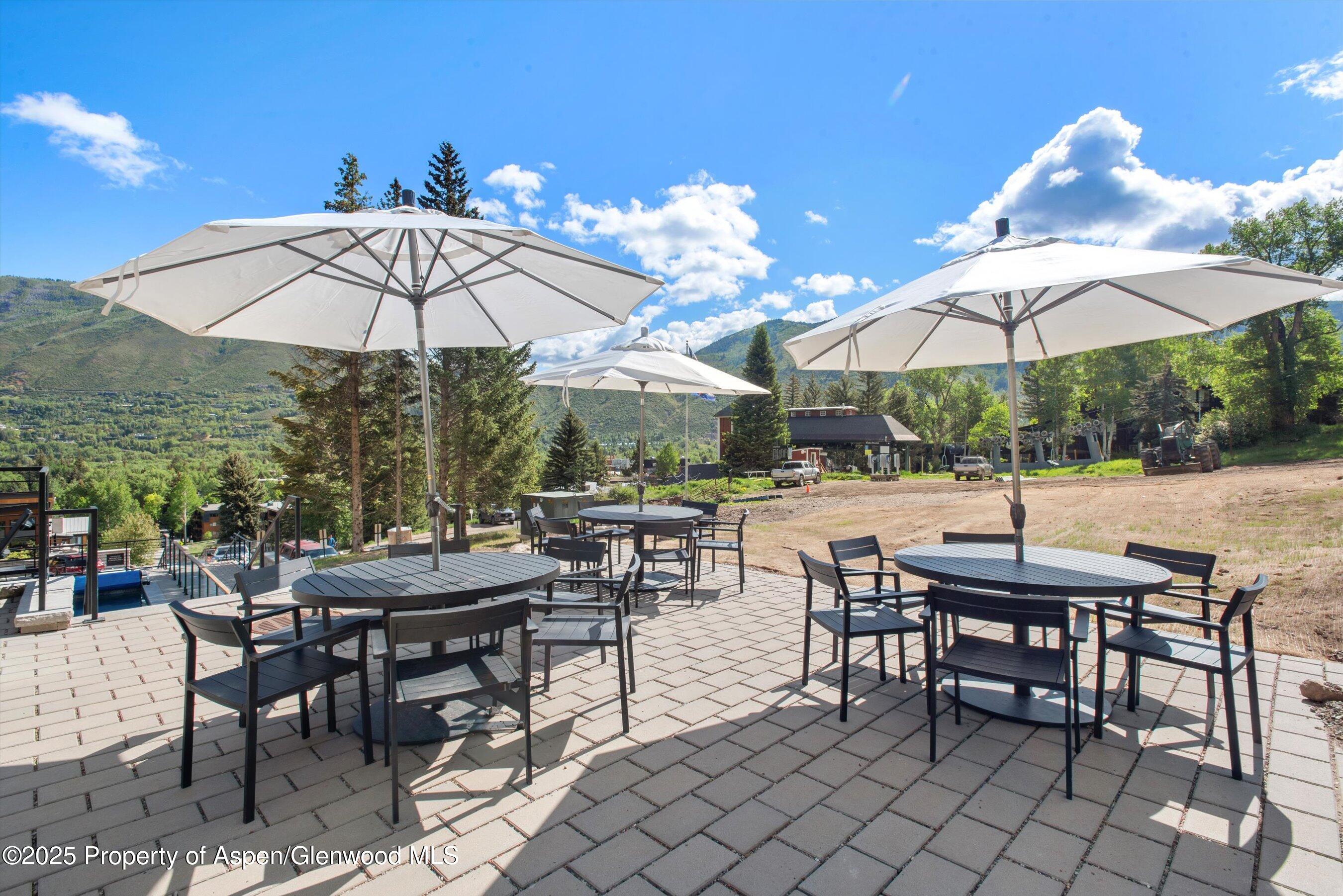 809 S Aspen Street Aspen CO 81611