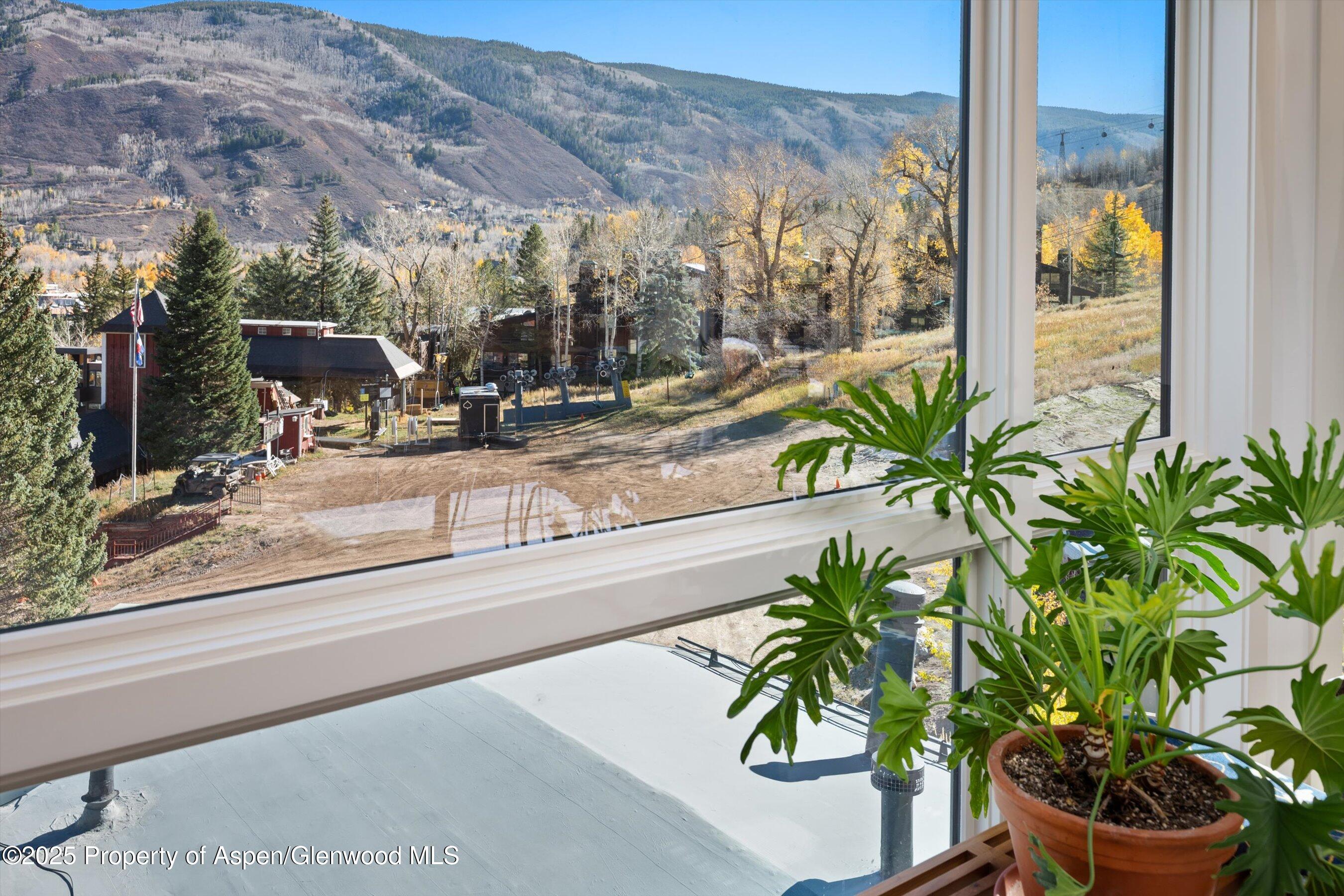 809 S Aspen Street Aspen CO 81611