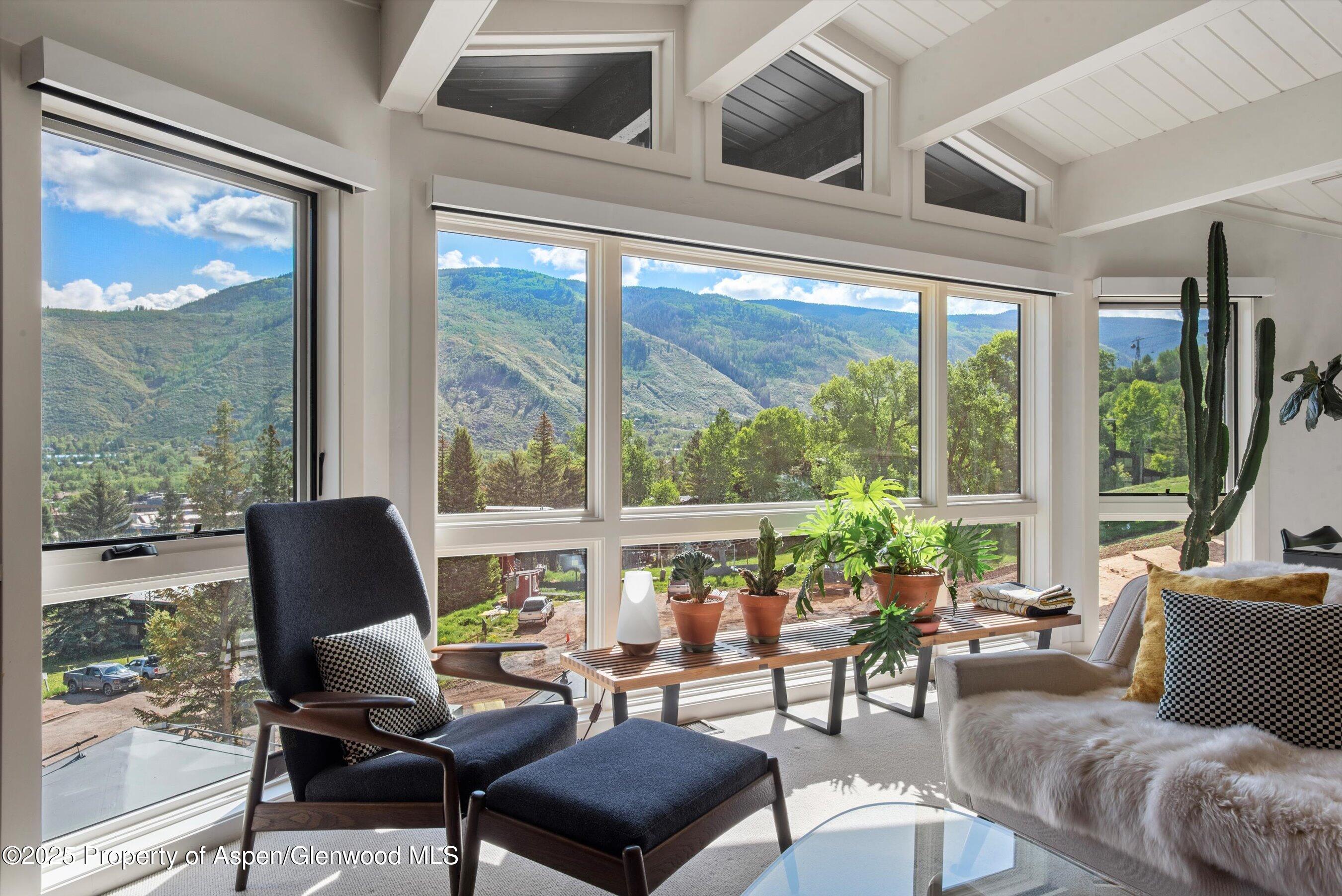 809 S Aspen Street Aspen CO 81611