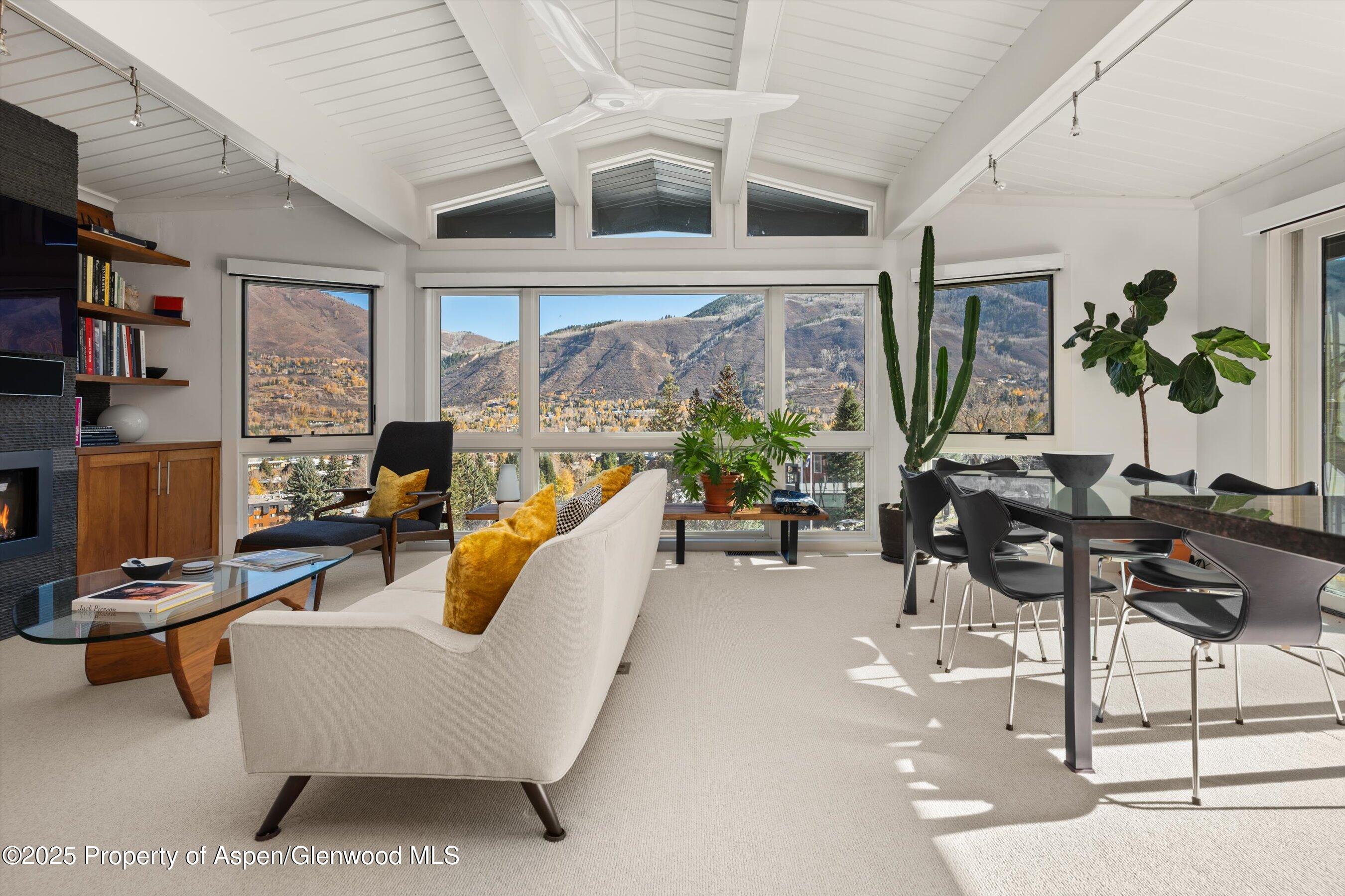 809 S Aspen Street Aspen CO 81611