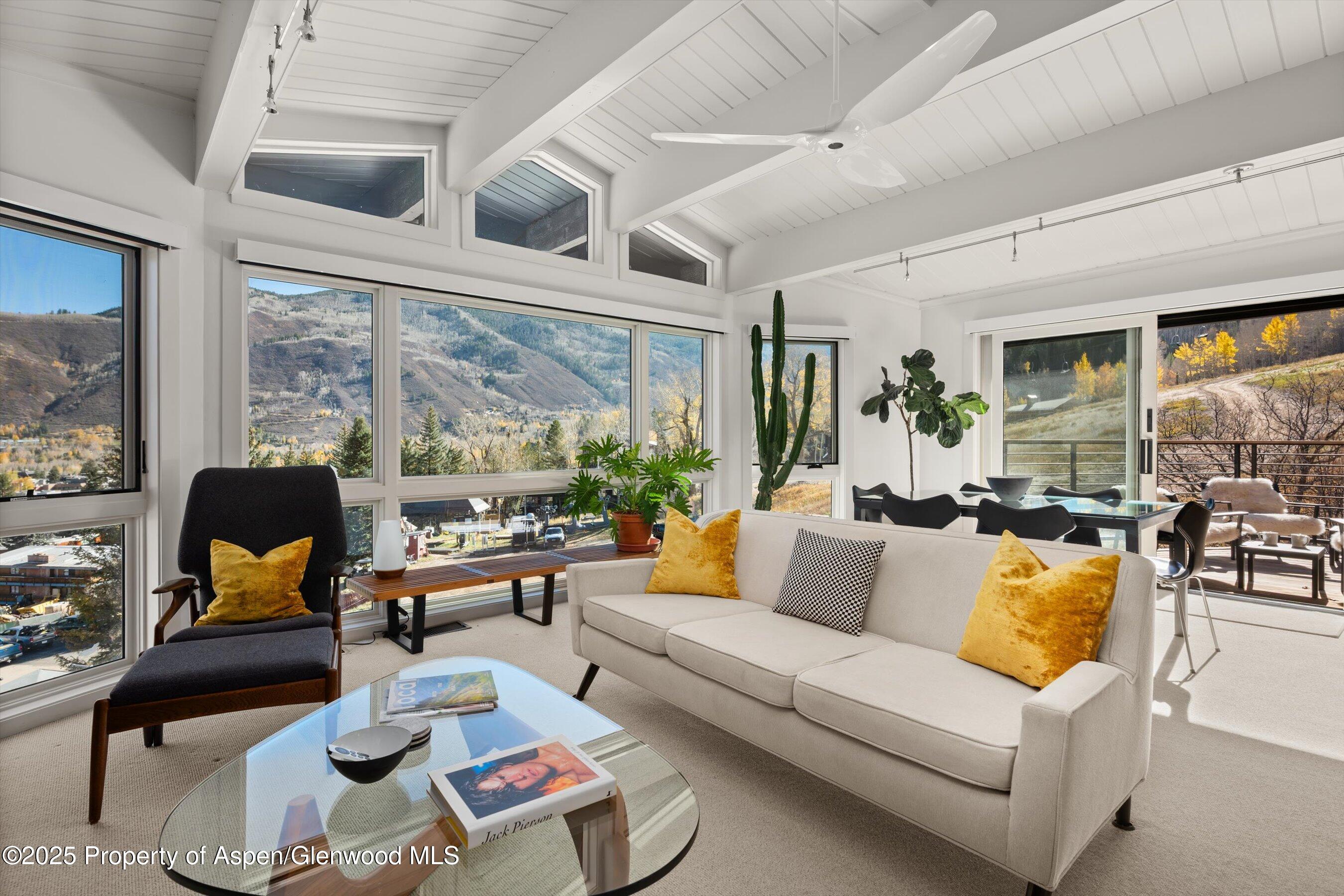 809 S Aspen Street Aspen CO 81611