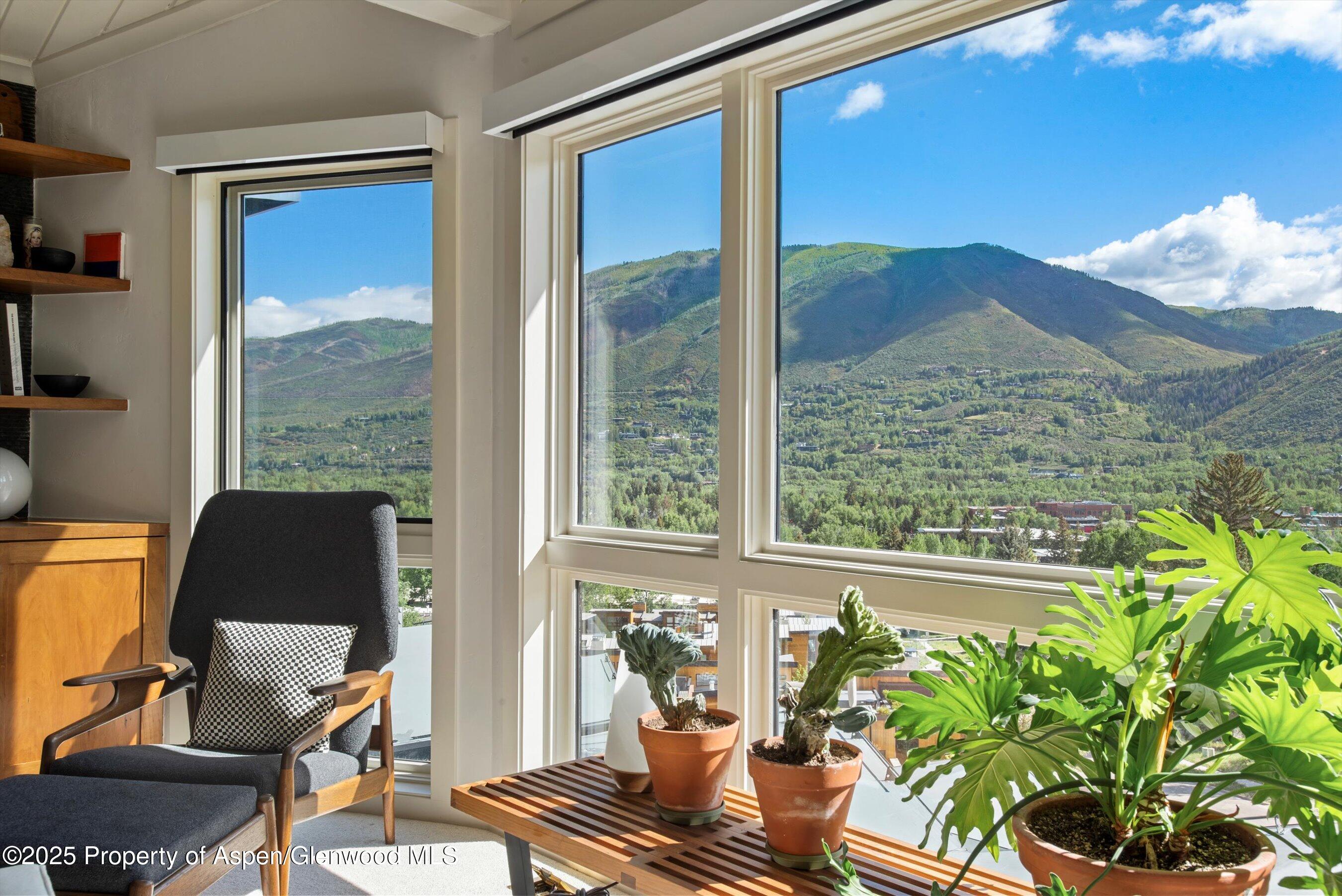 809 S Aspen Street Aspen CO 81611