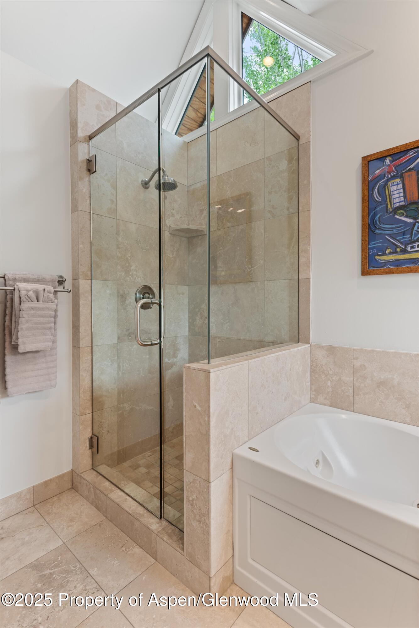 111 S Sixth Street Aspen CO 81611