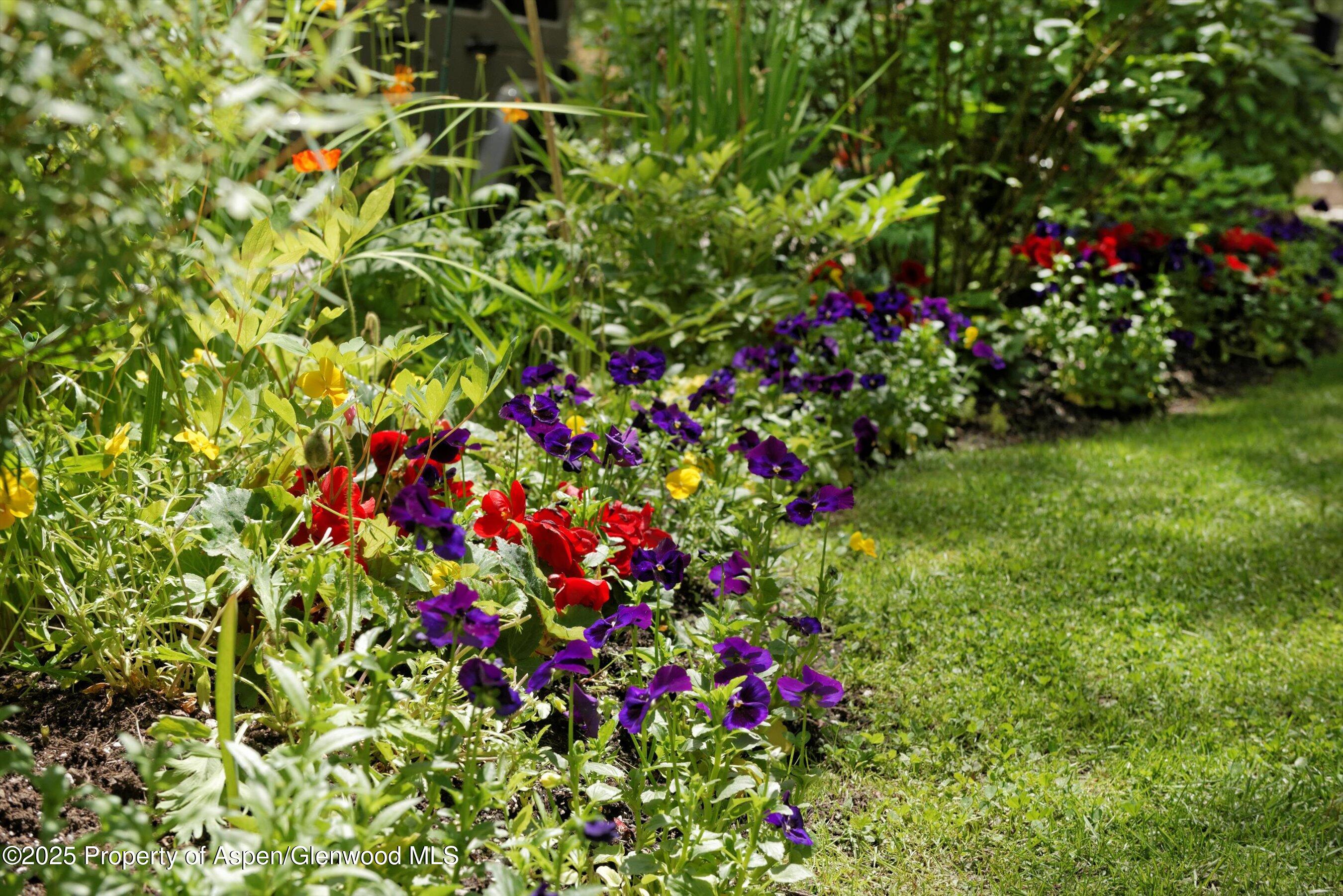 111 S Sixth Street Aspen CO 81611