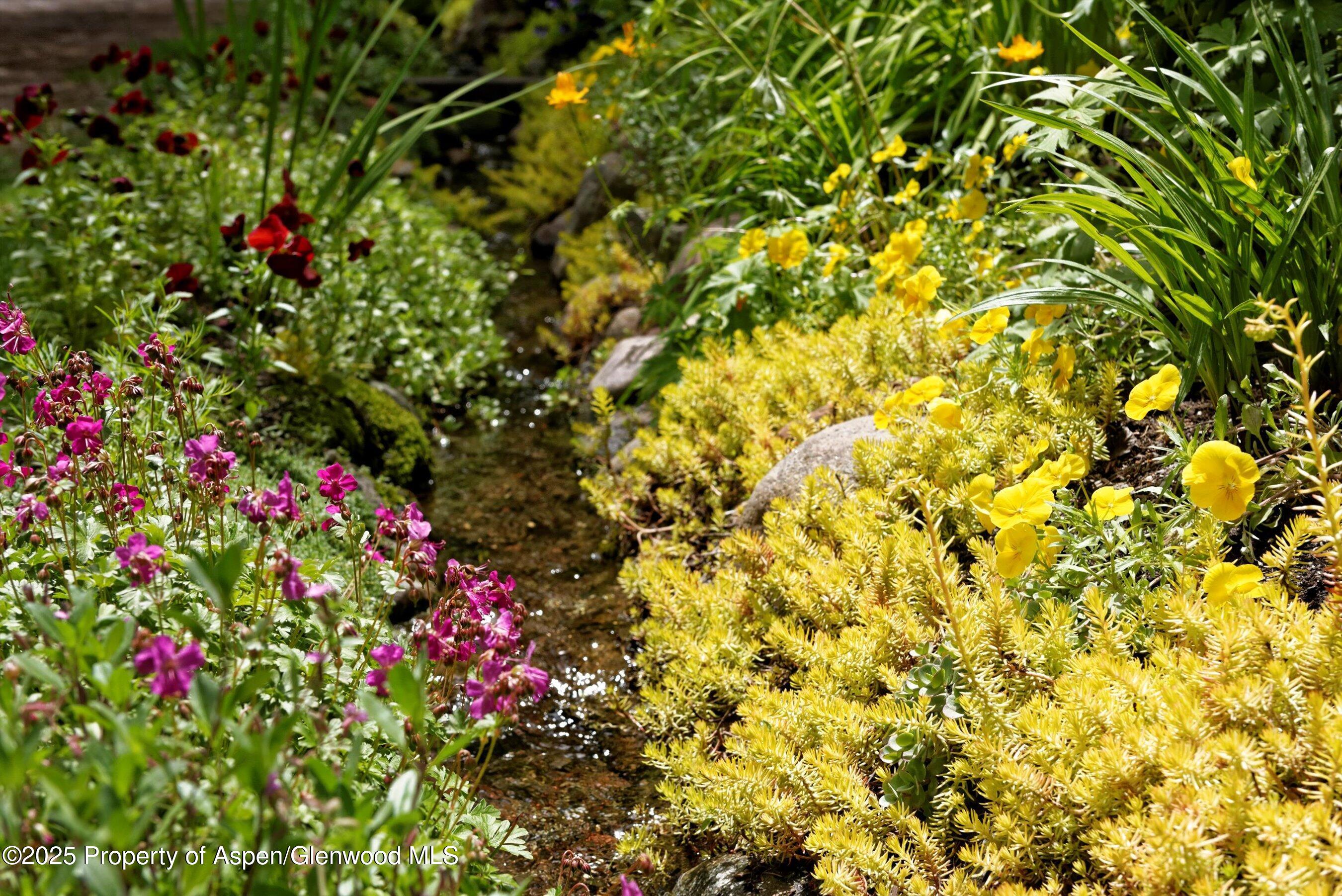 111 S Sixth Street Aspen CO 81611