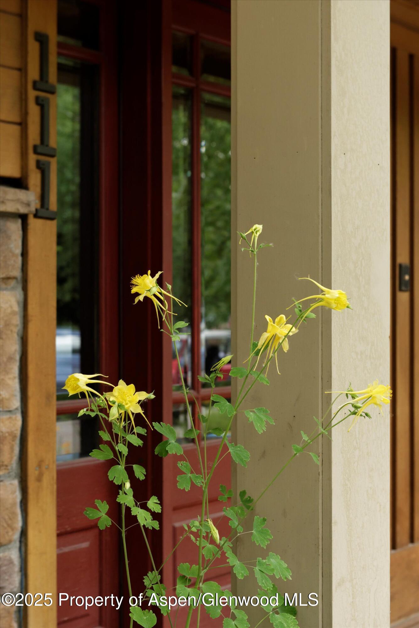 111 S Sixth Street Aspen CO 81611