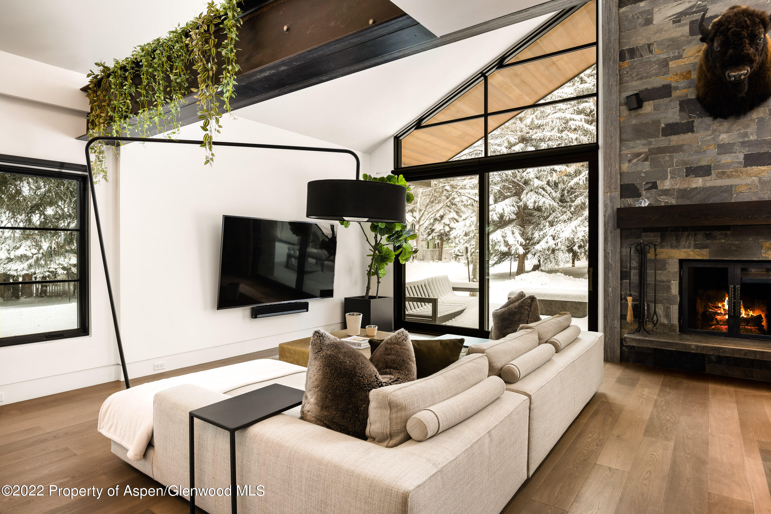 503 N Fourth Street Aspen CO 81611