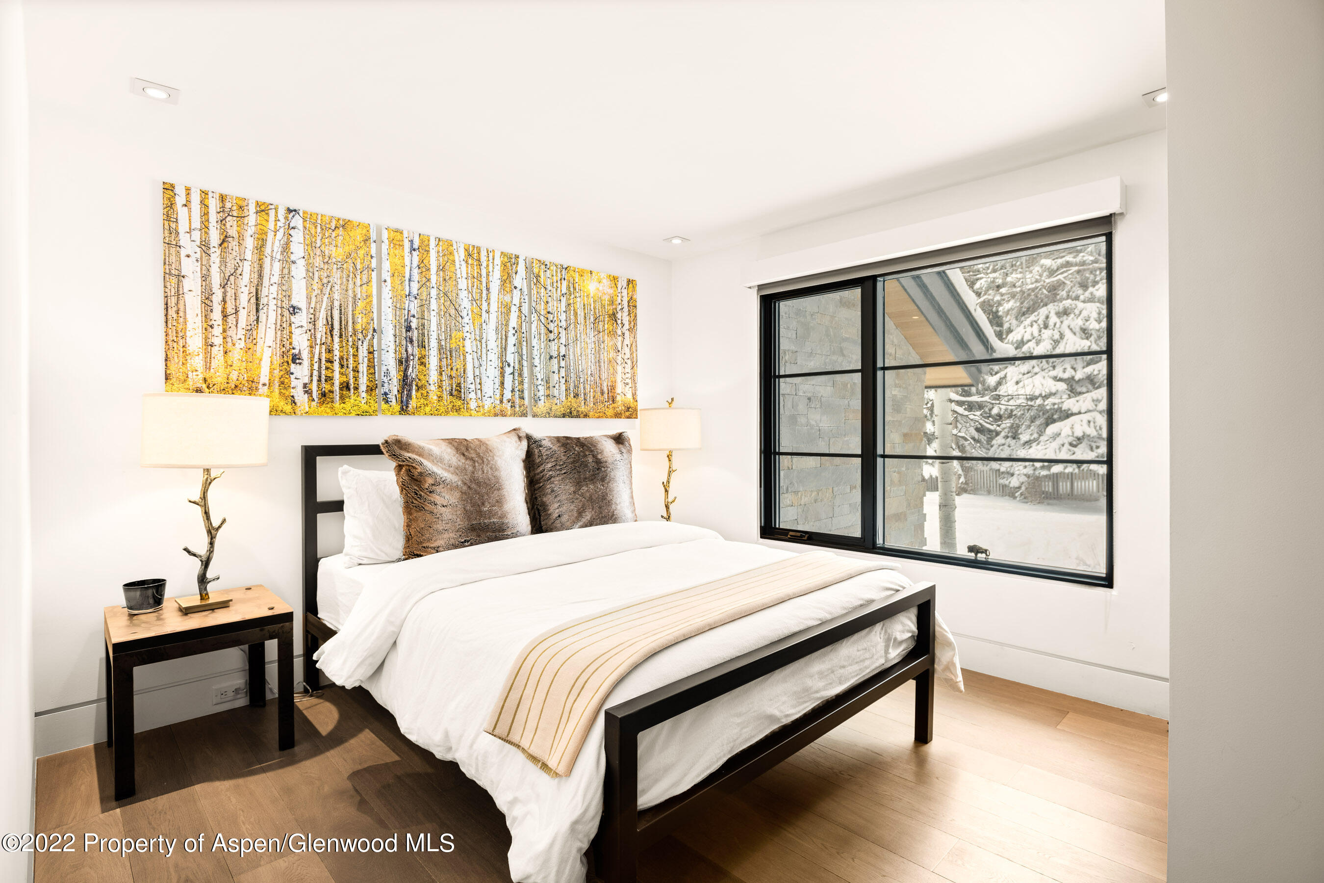 503 N Fourth Street Aspen CO 81611