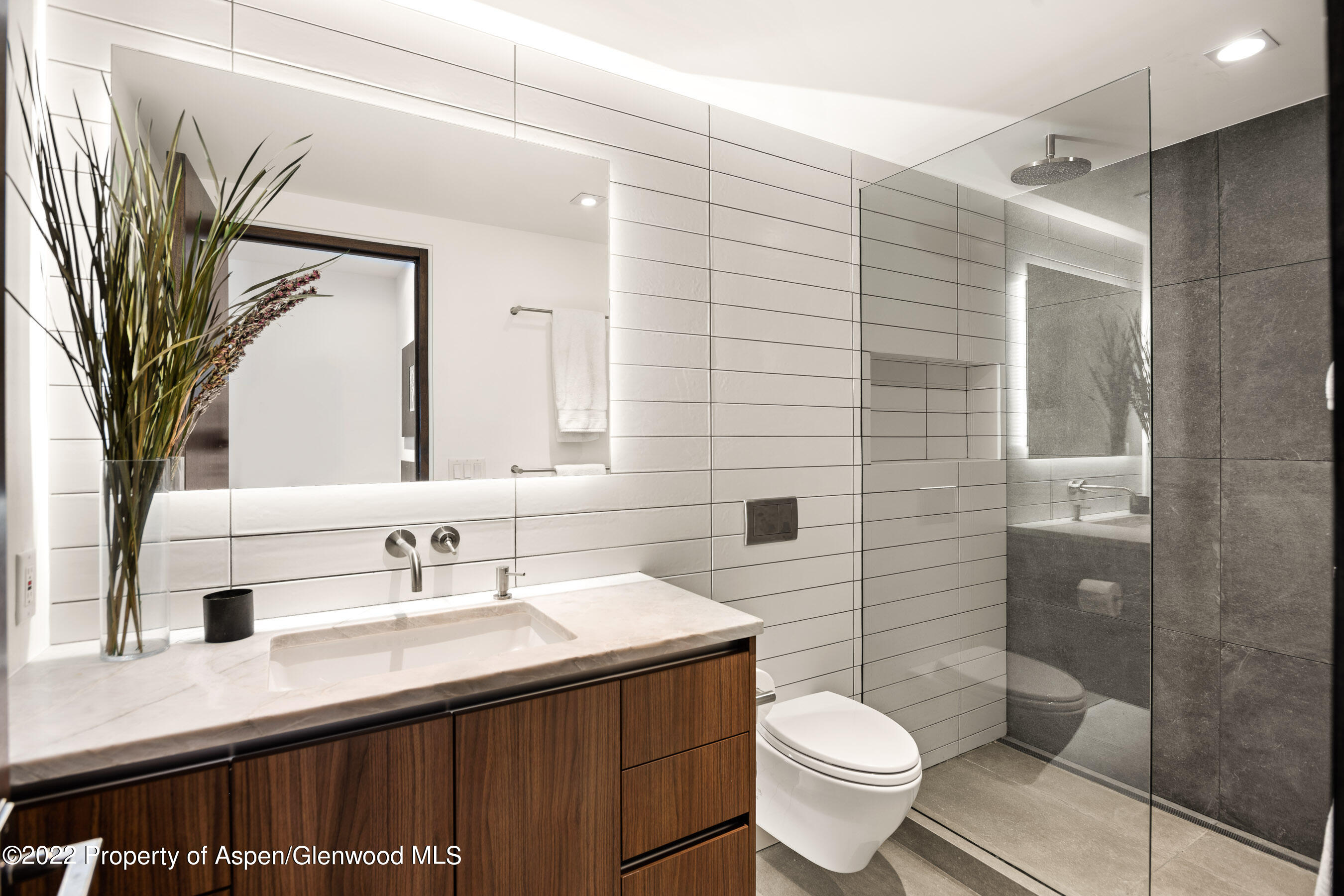 503 N Fourth Street Aspen CO 81611