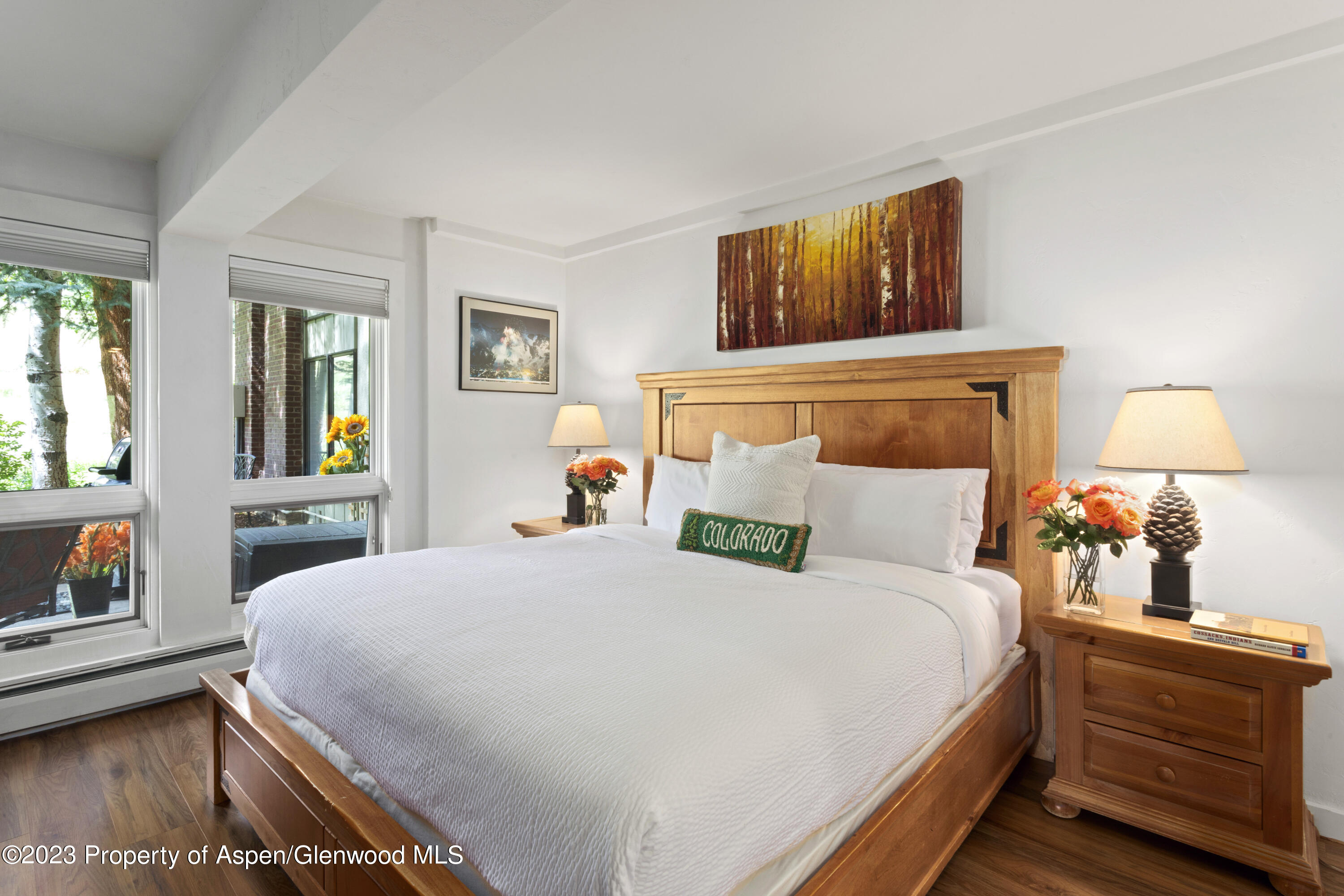 Snowmass Village CO 81615