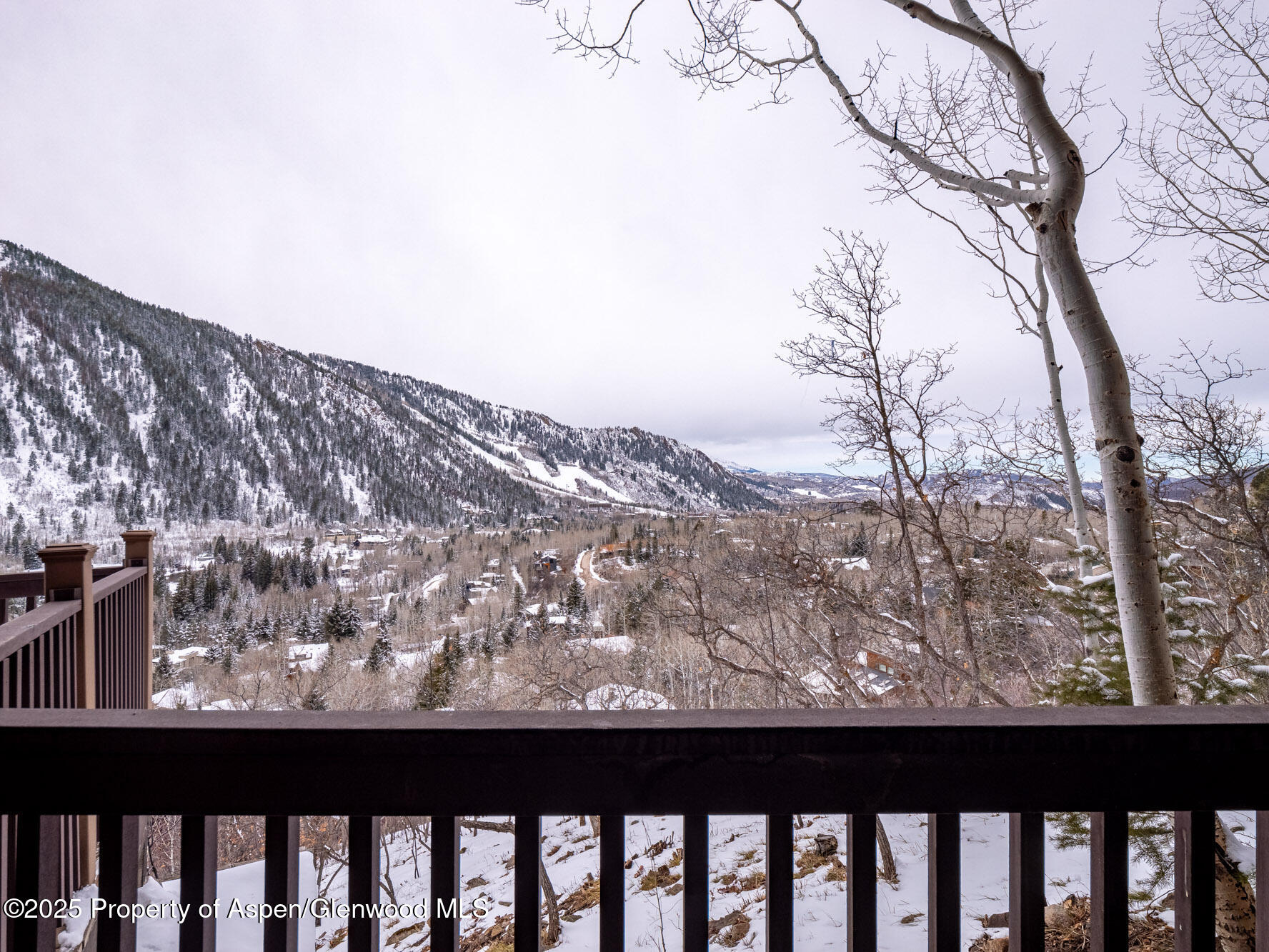 780 Mountain Laurel Drive Aspen CO 81611