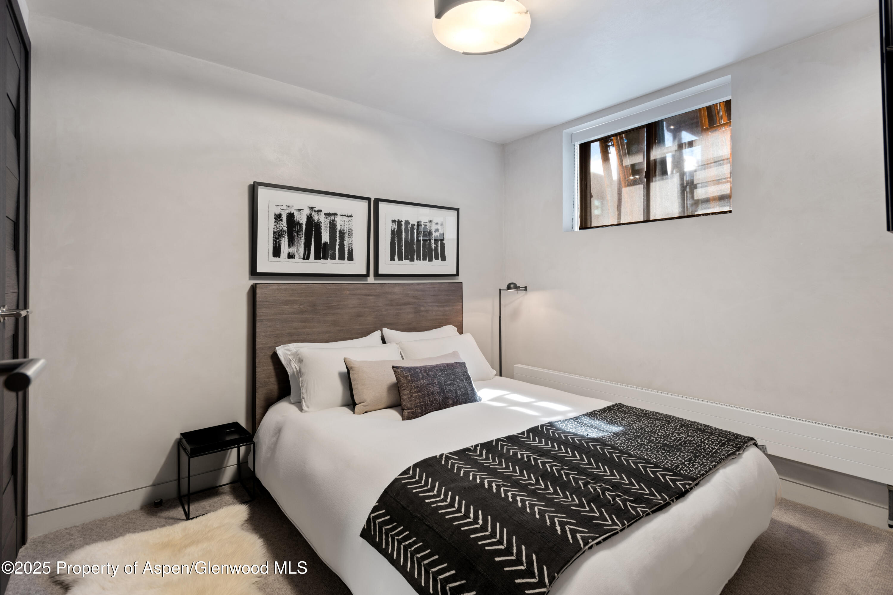 124 E Durant Avenue Aspen CO 81611